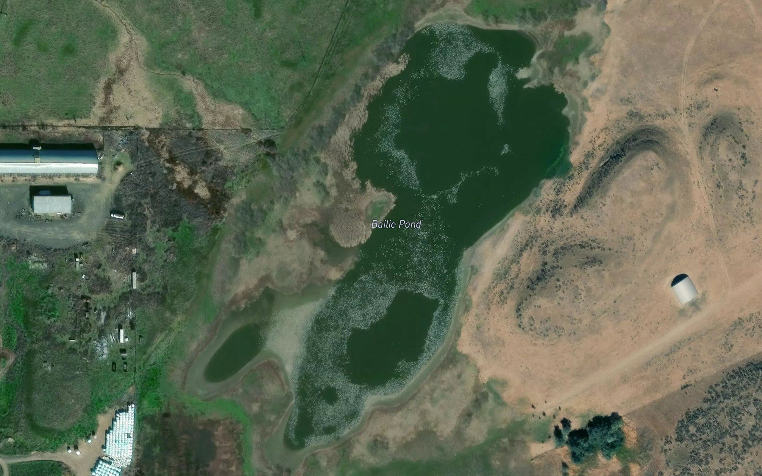 Bailie Pond