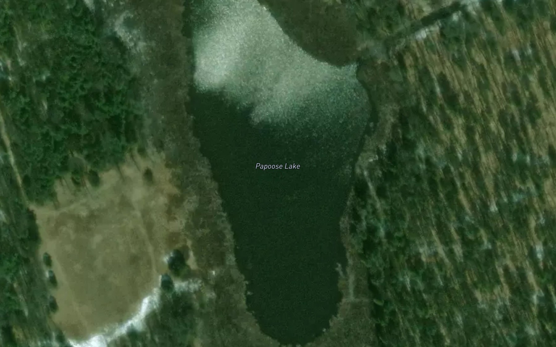 Satellite map of the Papoose Lake