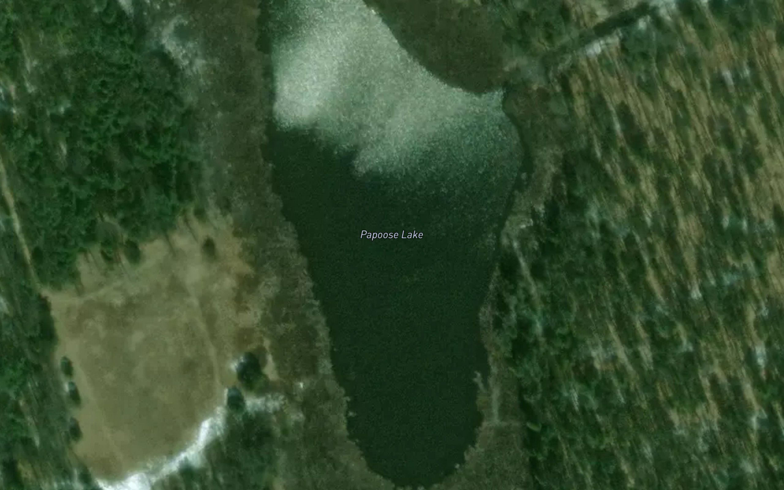 Papoose Lake