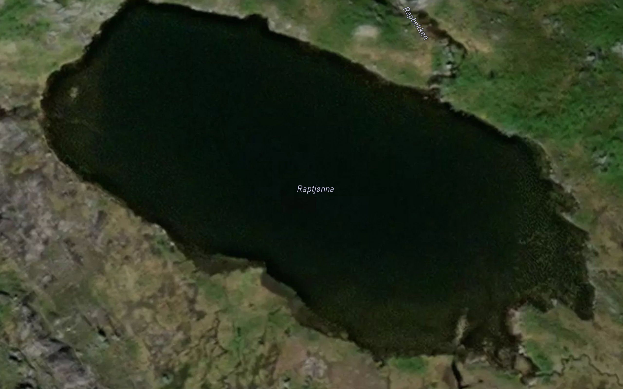 Raptjonna