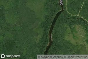 Dora Creek