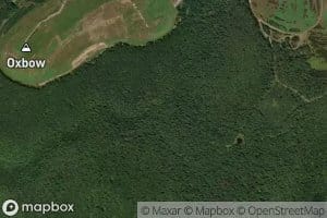 Jack Cammals Camp Run