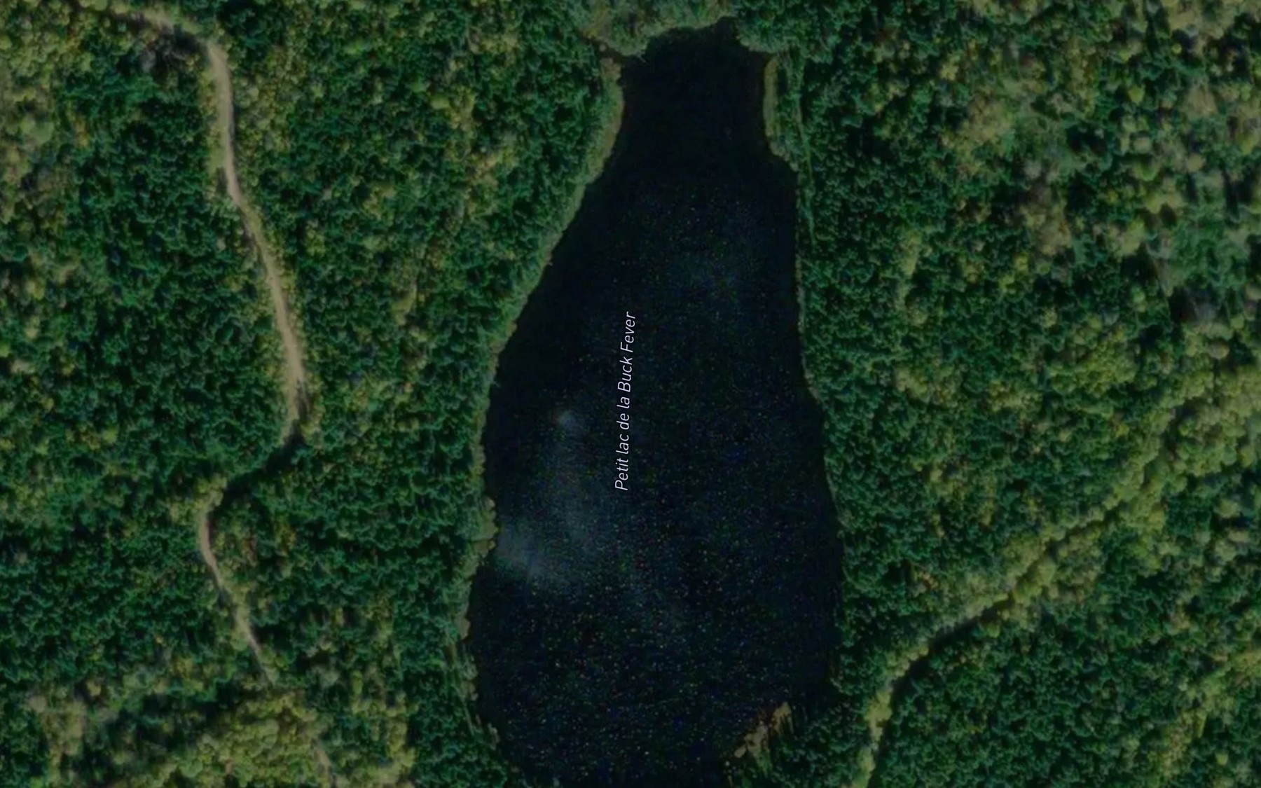 Satellite map of the Petit lac de la Buck Fever