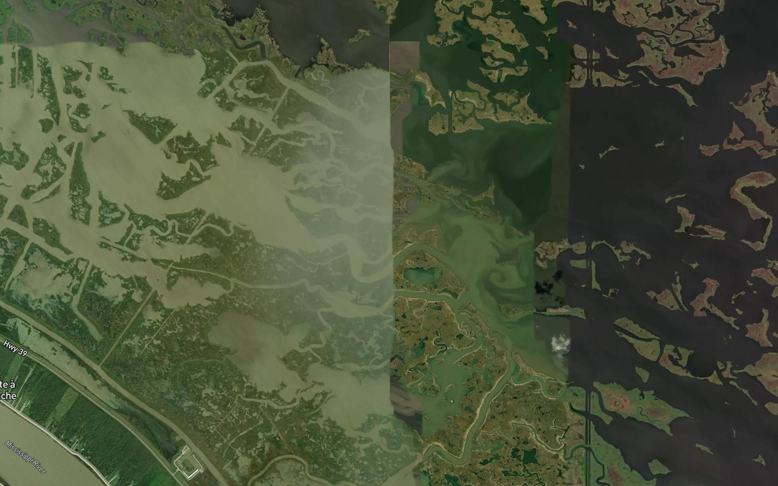 Four Bayou