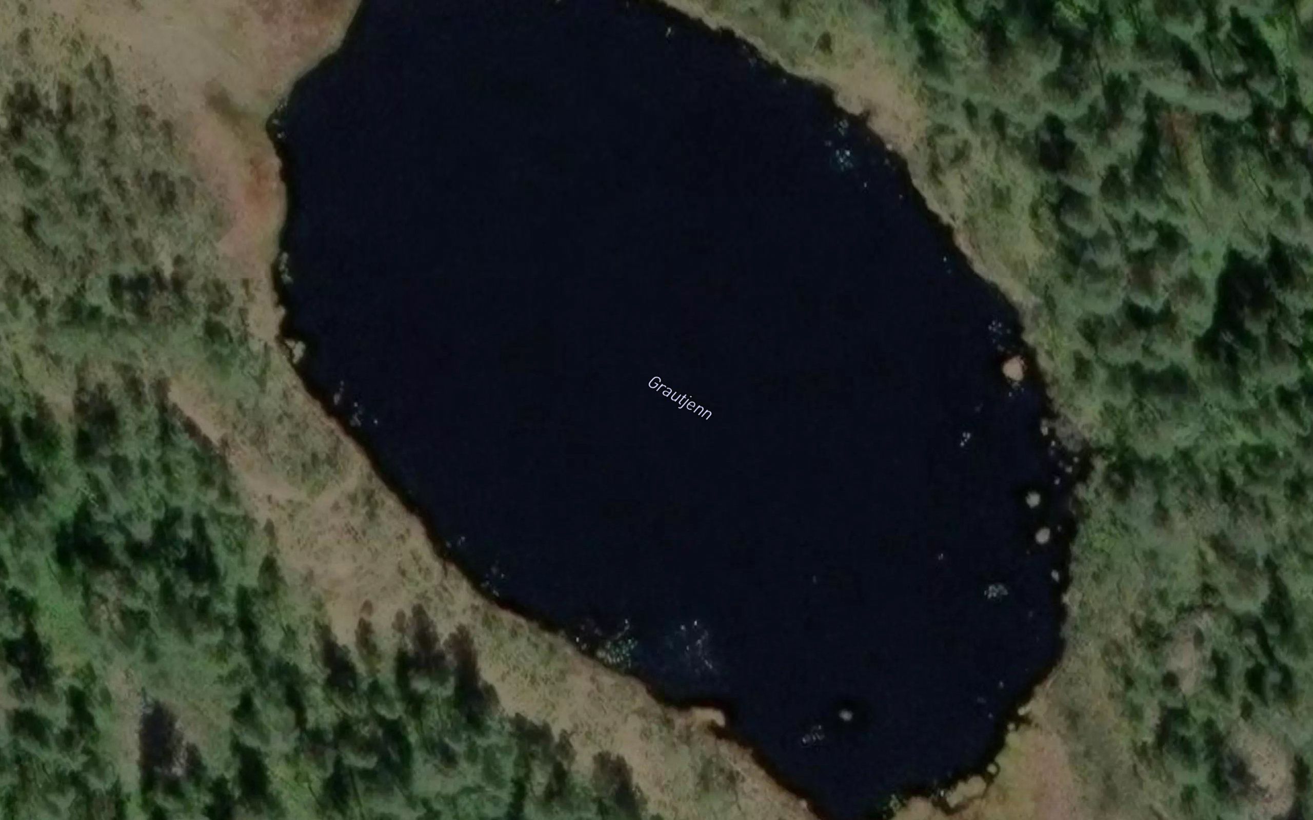 Grautjern