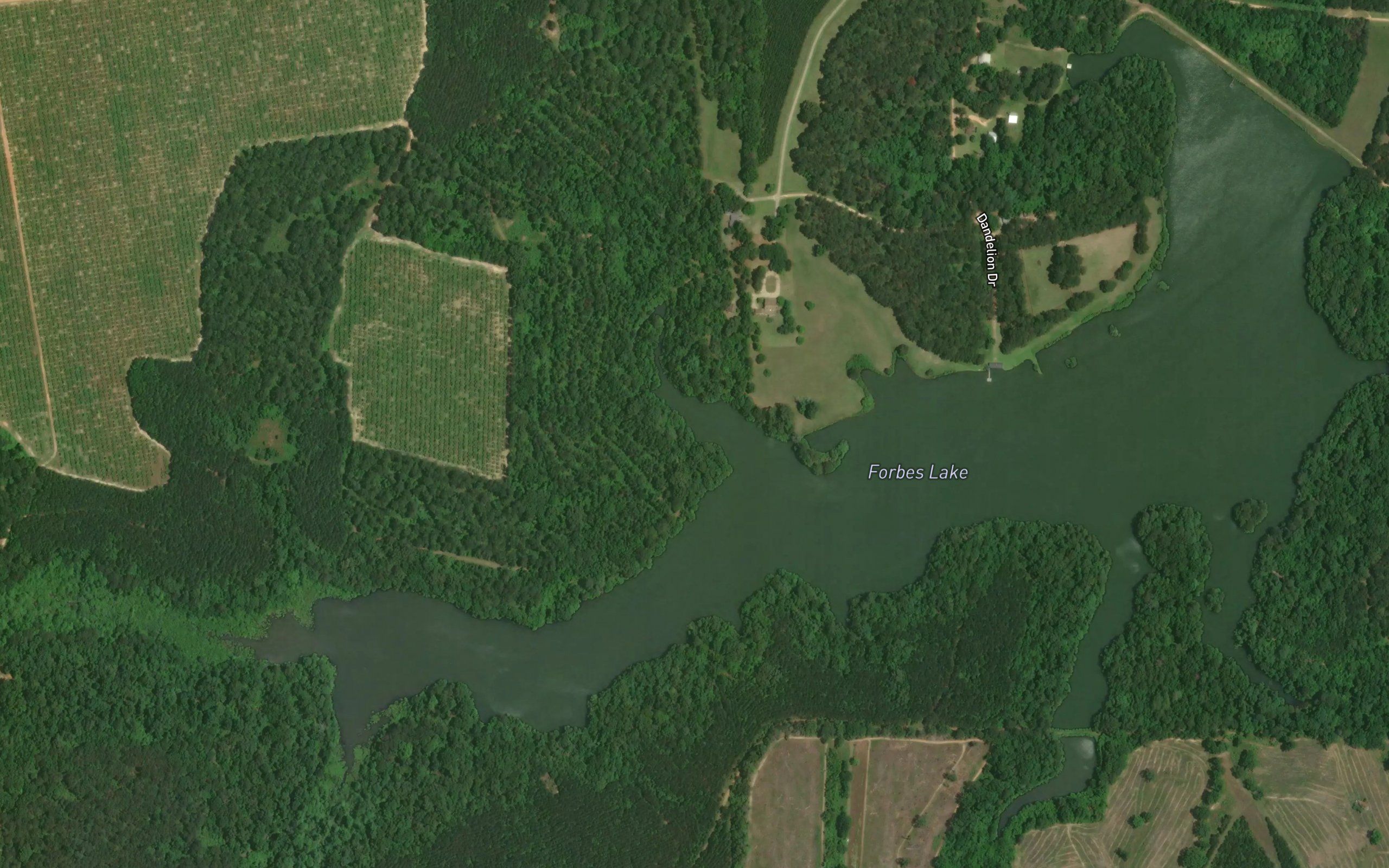 Forbes Lake
