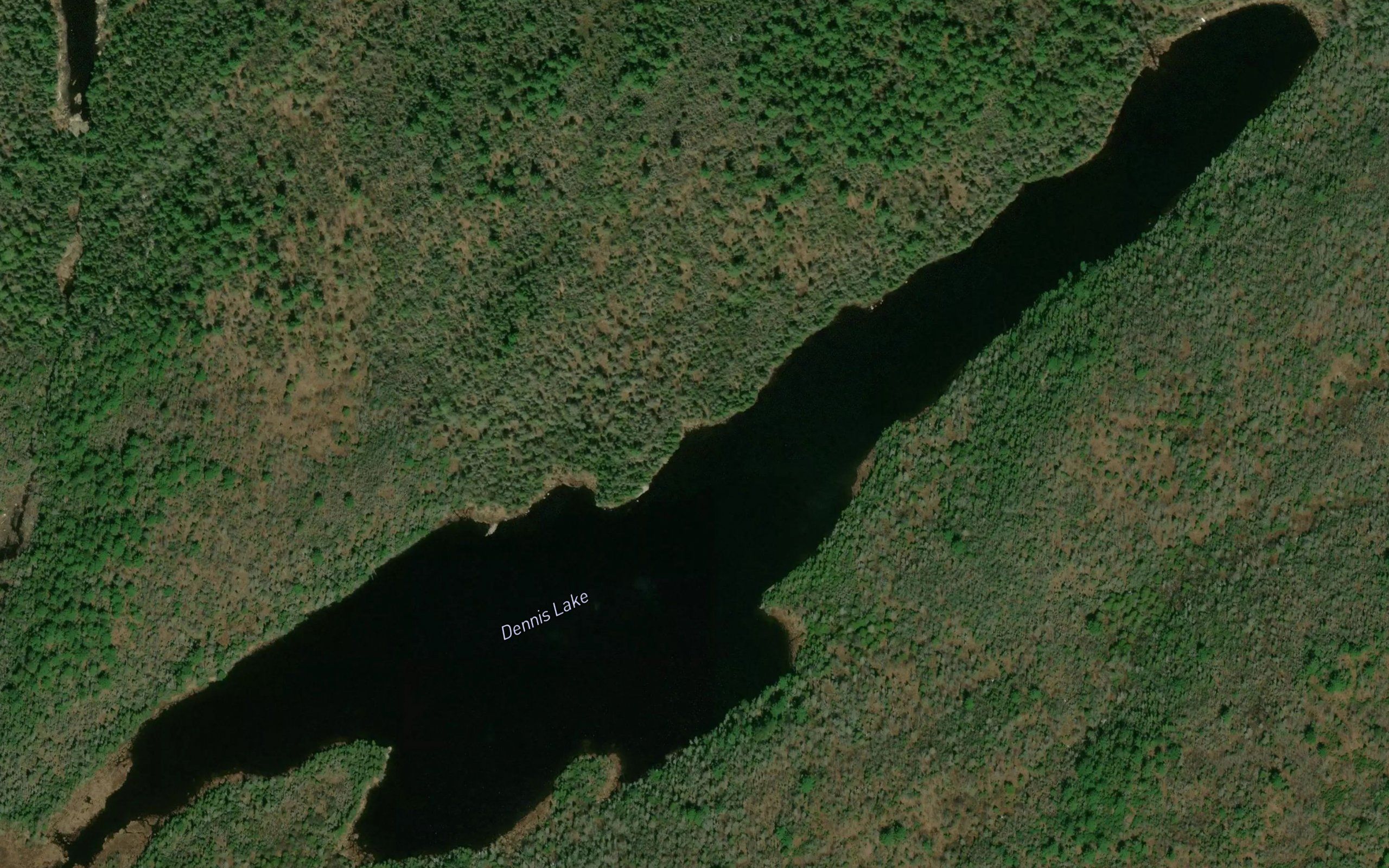 Dennis Lake