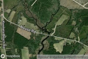 East Prong Beard Creek