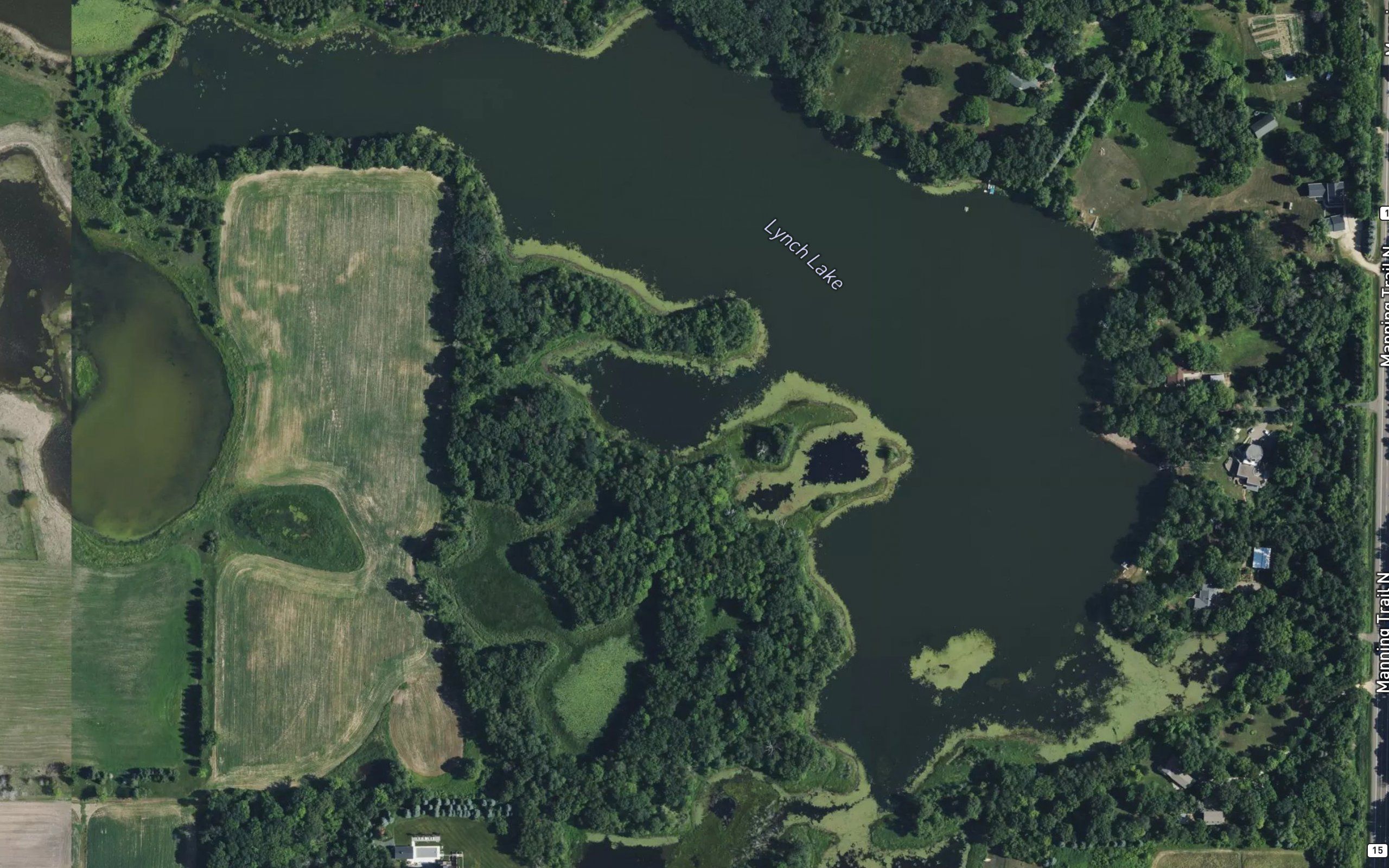 Lynch Lake