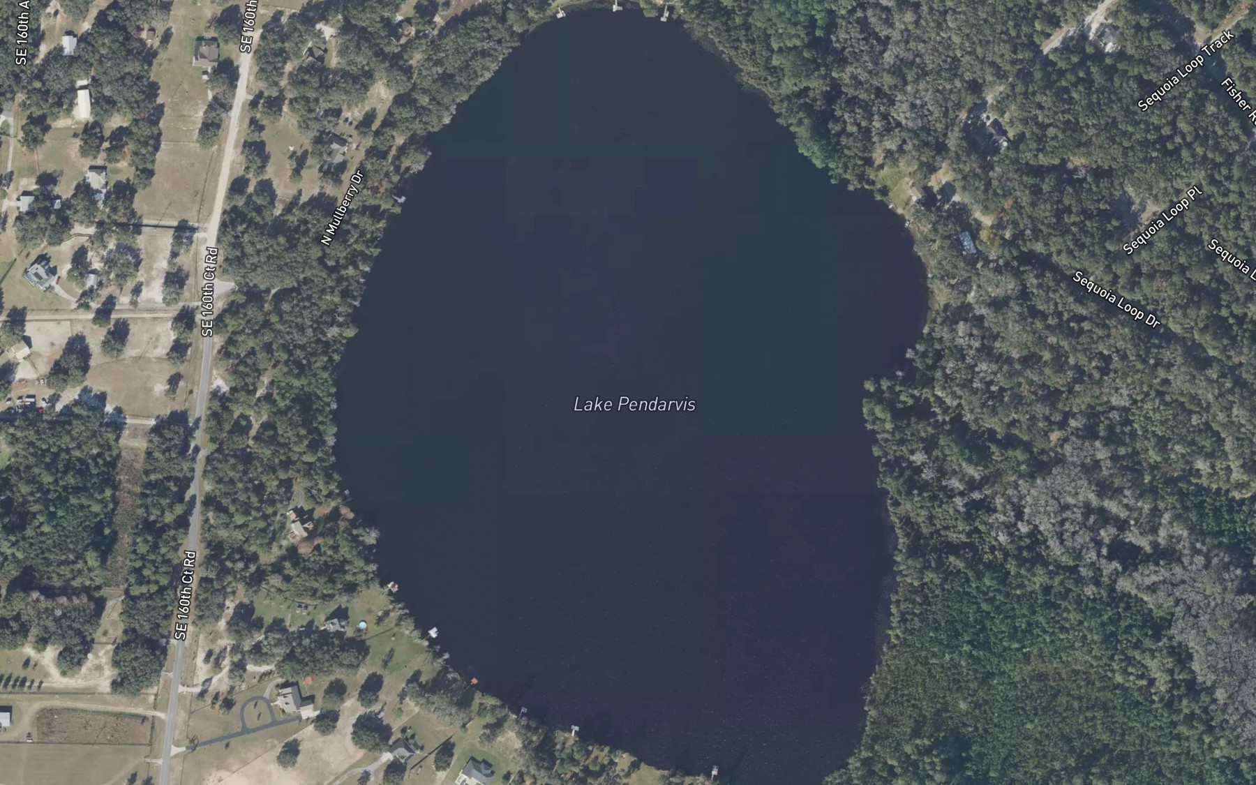 Satellite map of the Lake Pendarvis