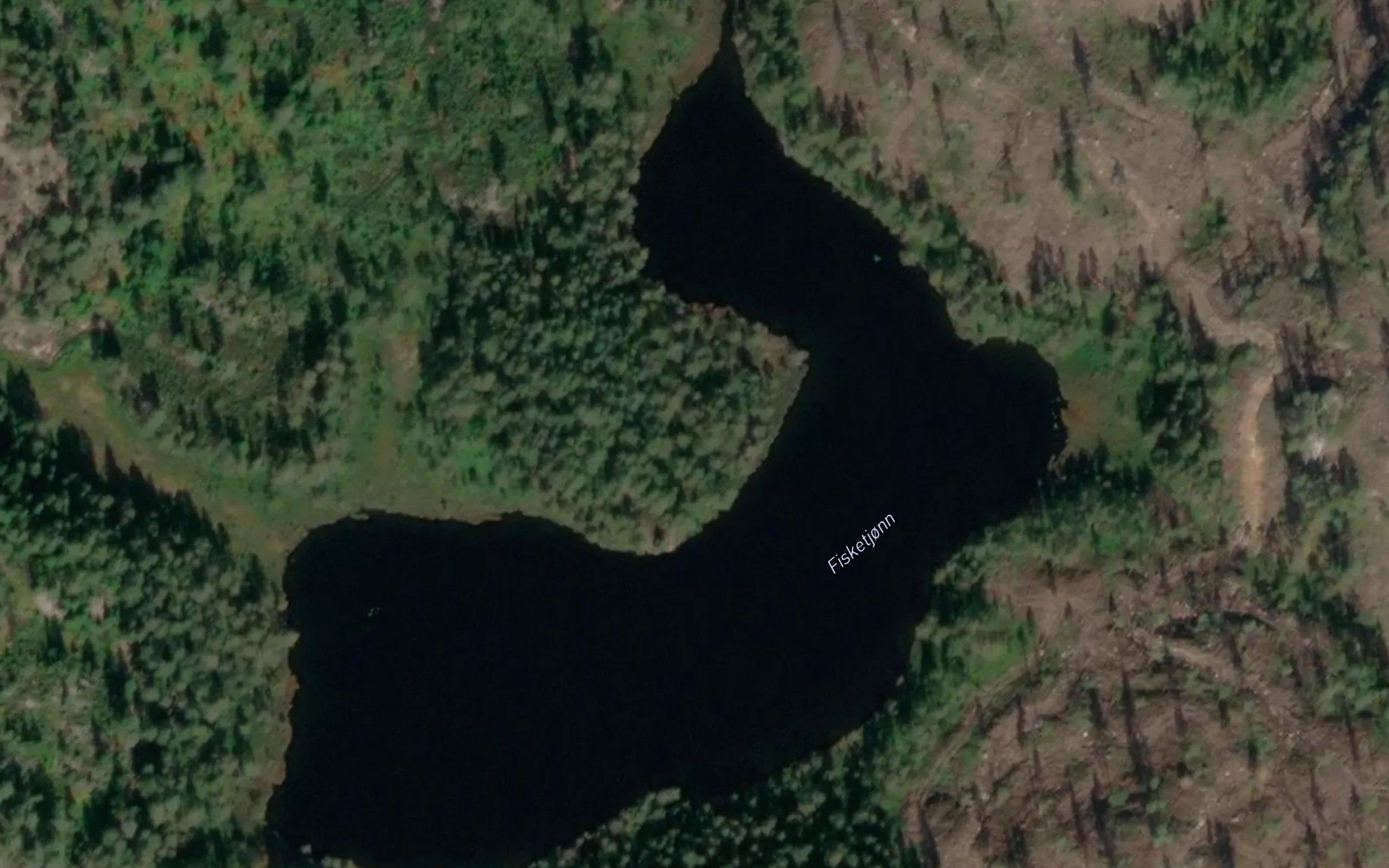 Fisketjorn