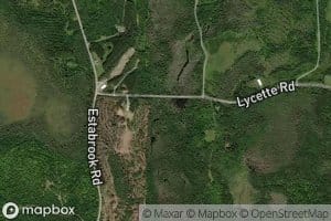 Meadow Brook