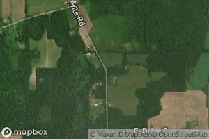 Mud Creek