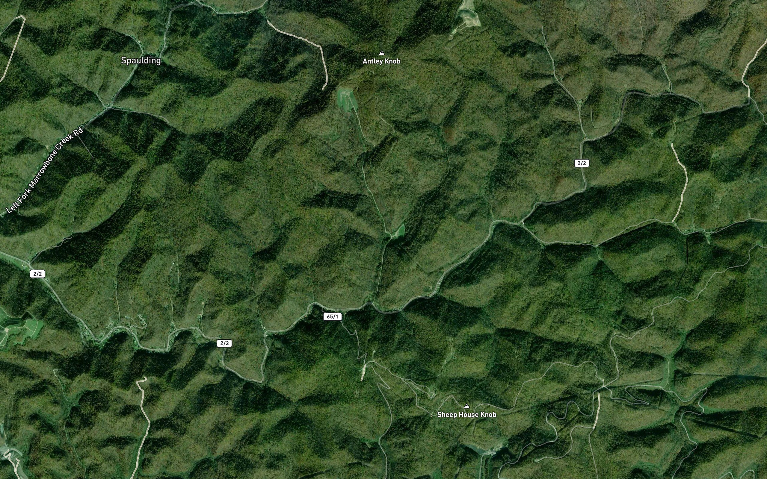 Left Fork Neely Branch