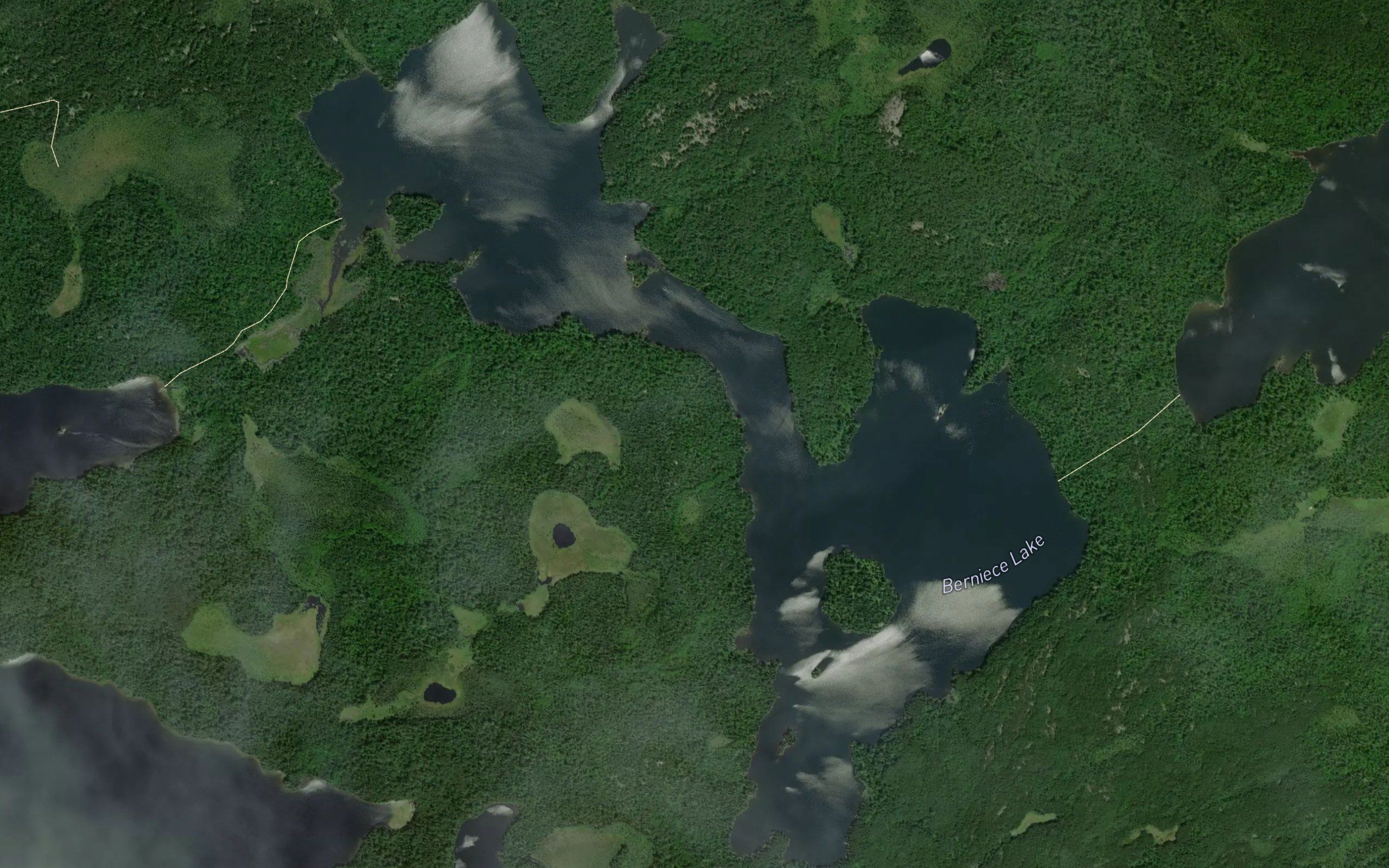 Berniece Lake
