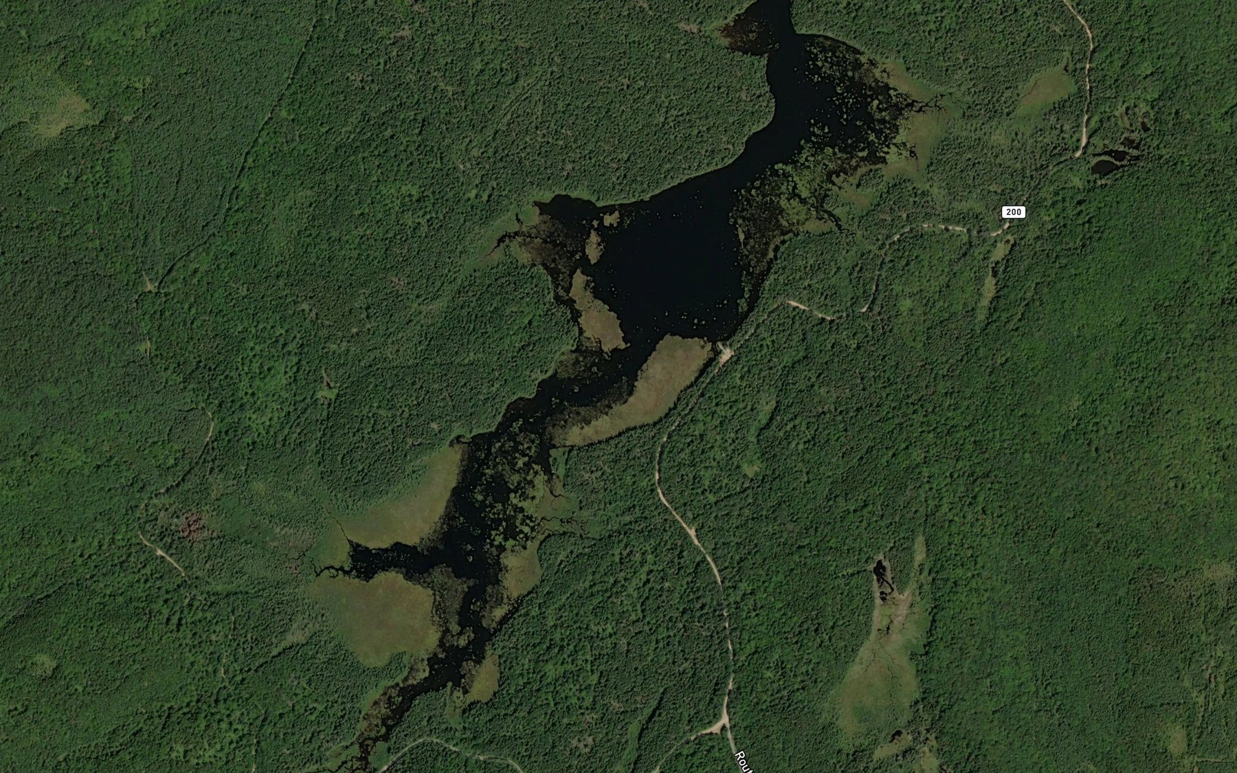 Satellite map of the Lac du Canard