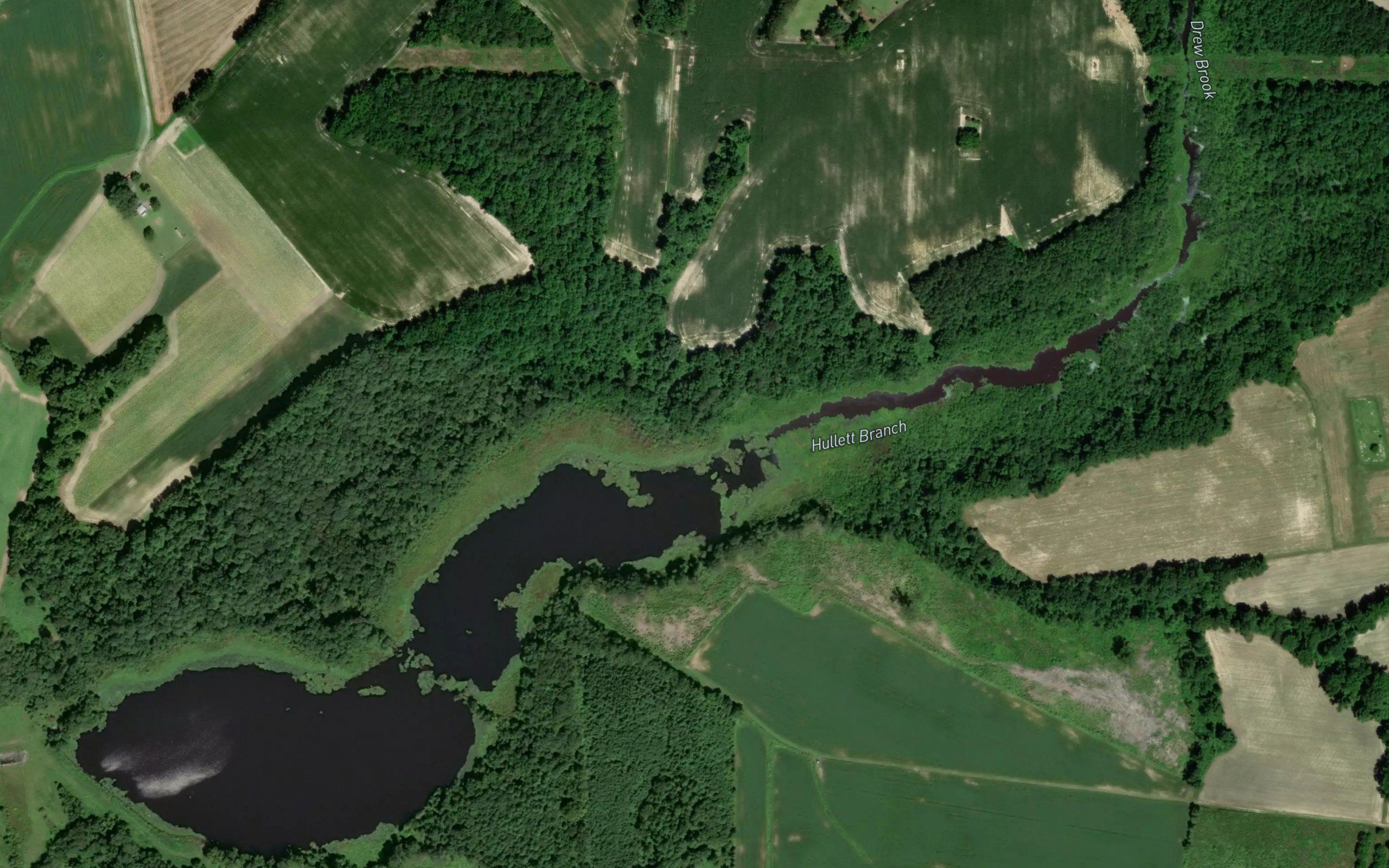 Bear Creek W/S Lake Number Twelve