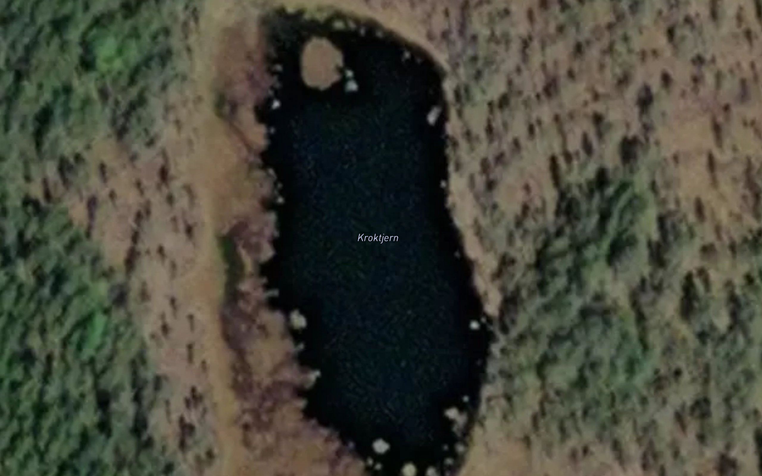 Kroktjern