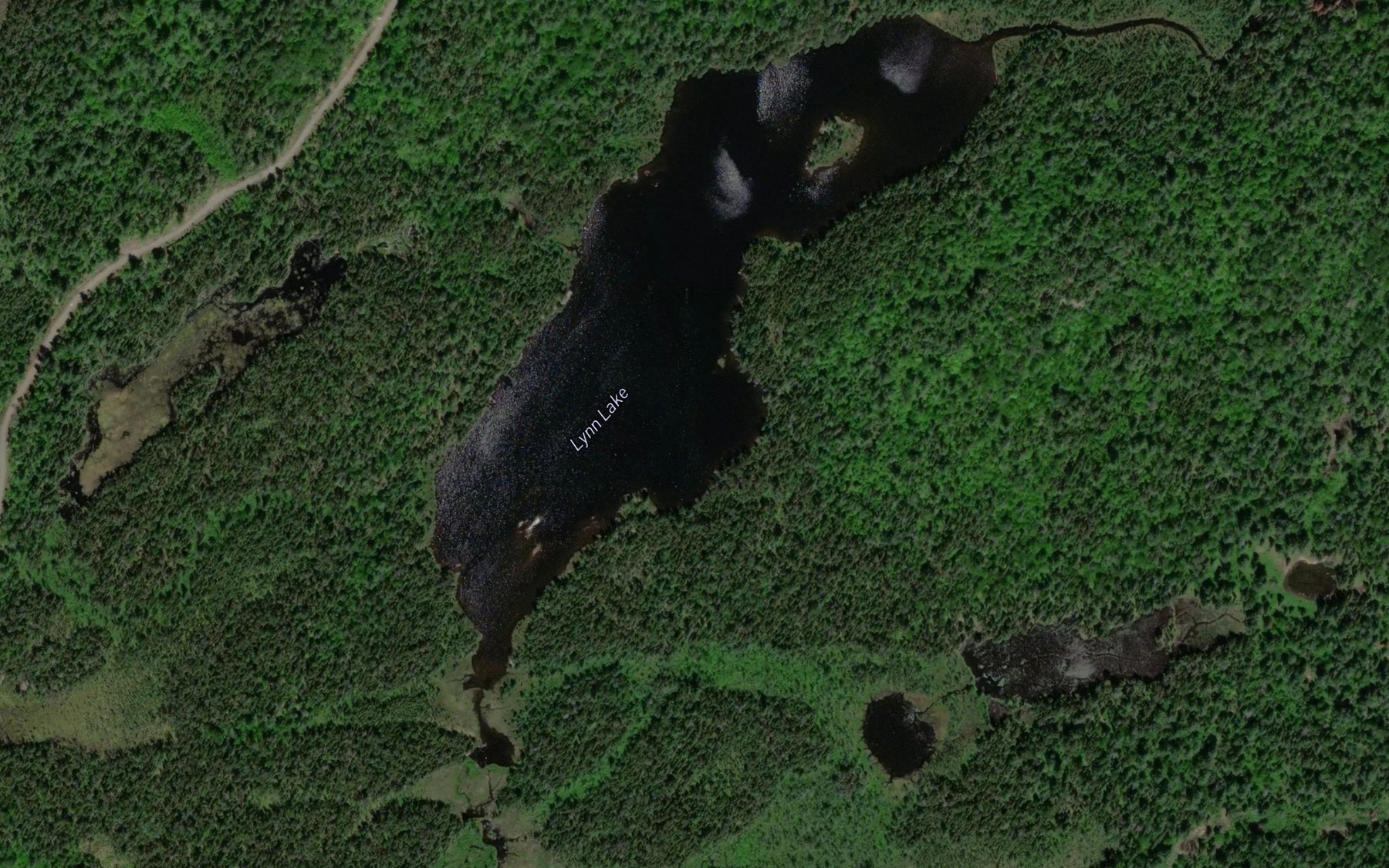 Satellite map of the Lynn Lake