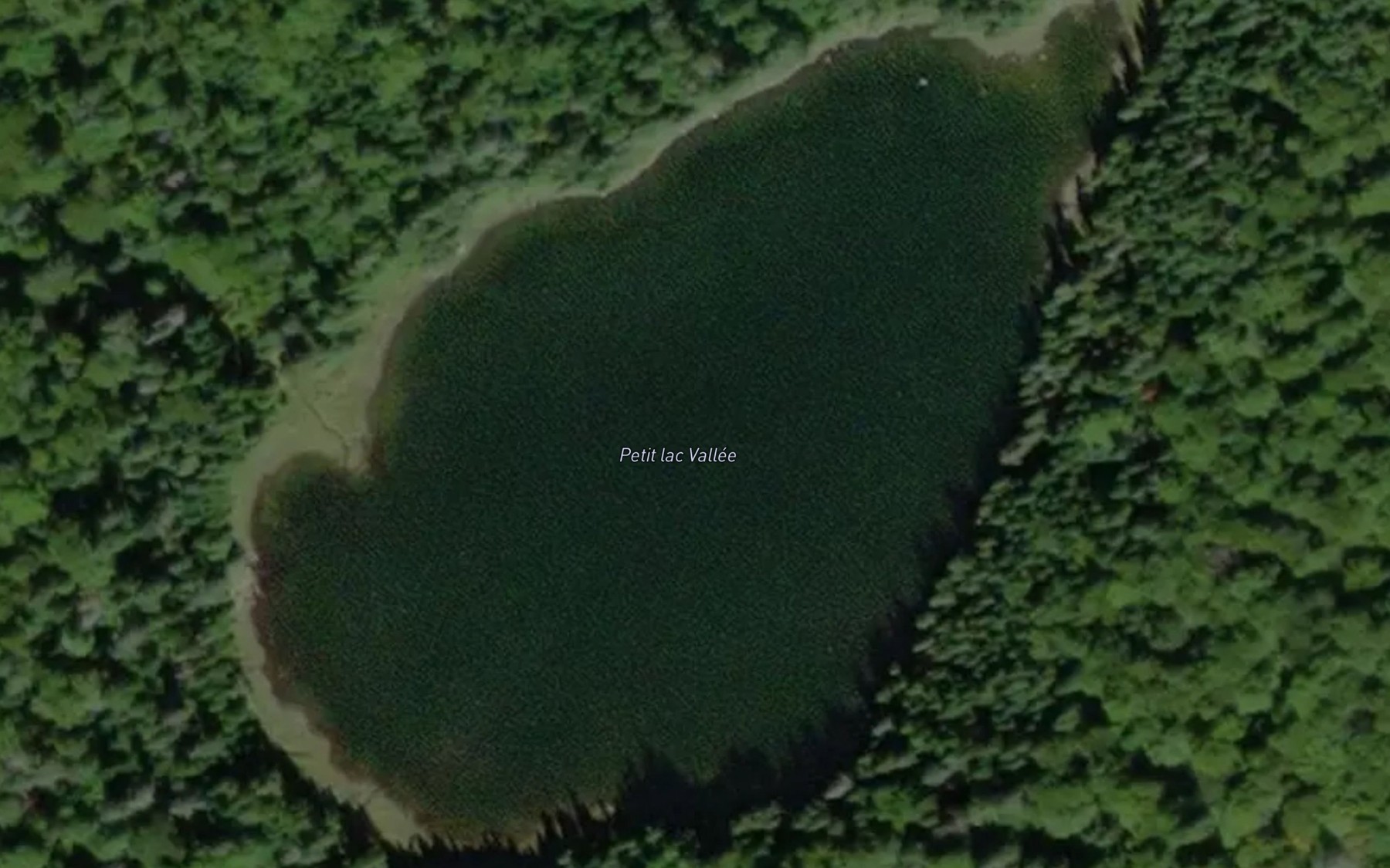 Satellite map of the Petit lac Vallee