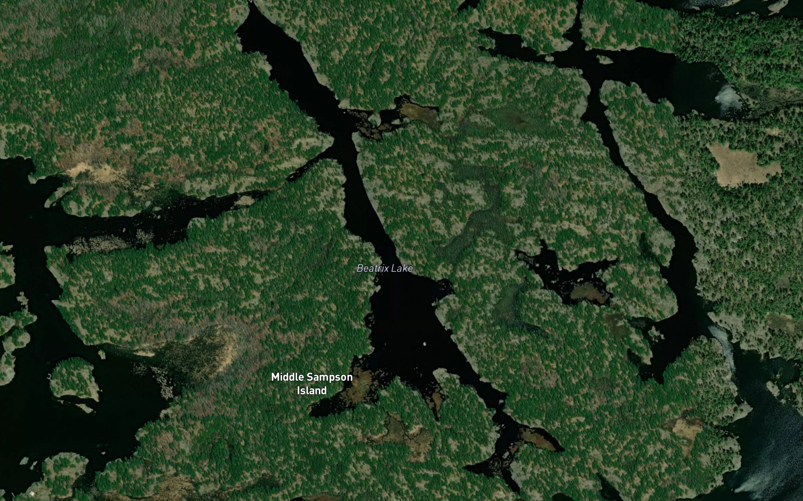 Beatrix Lake