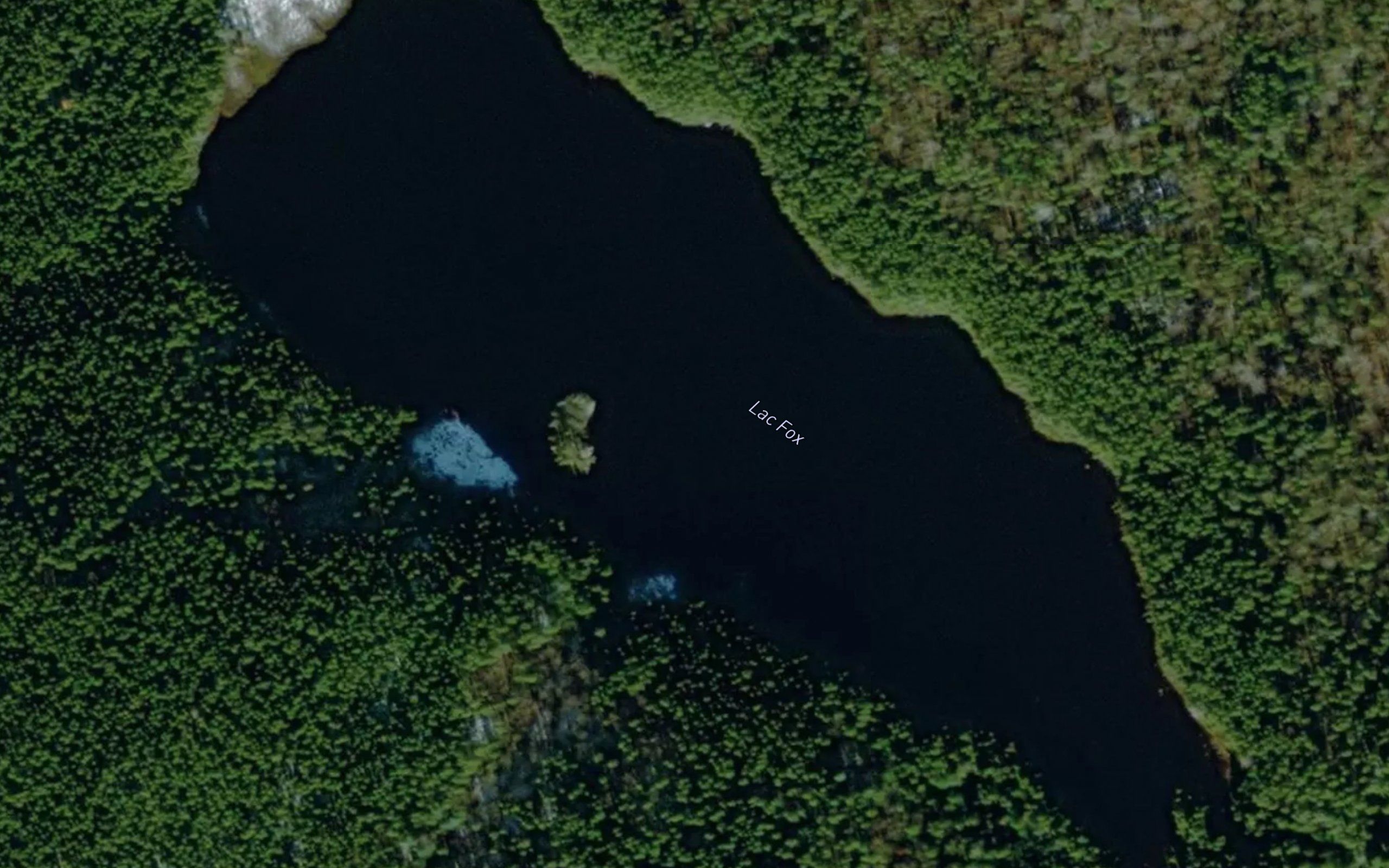 Lac Fox