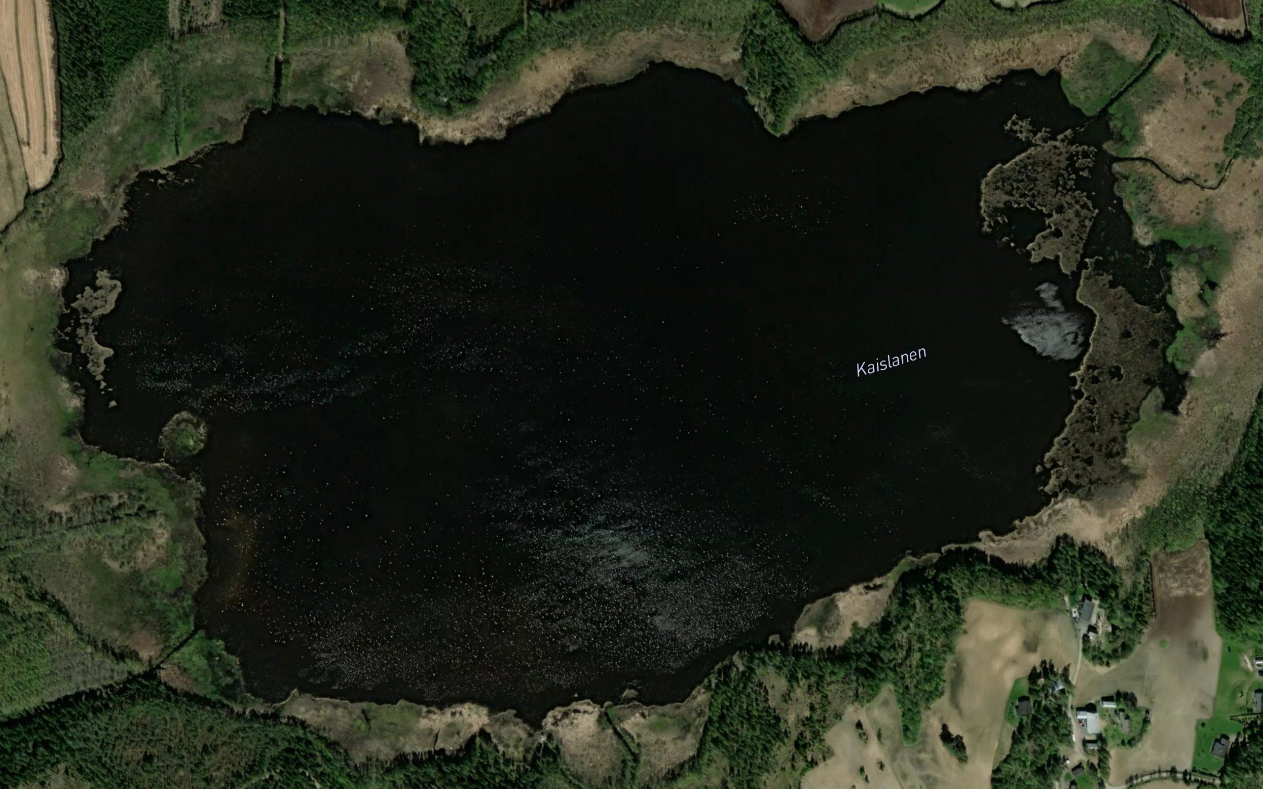 Kaislanen