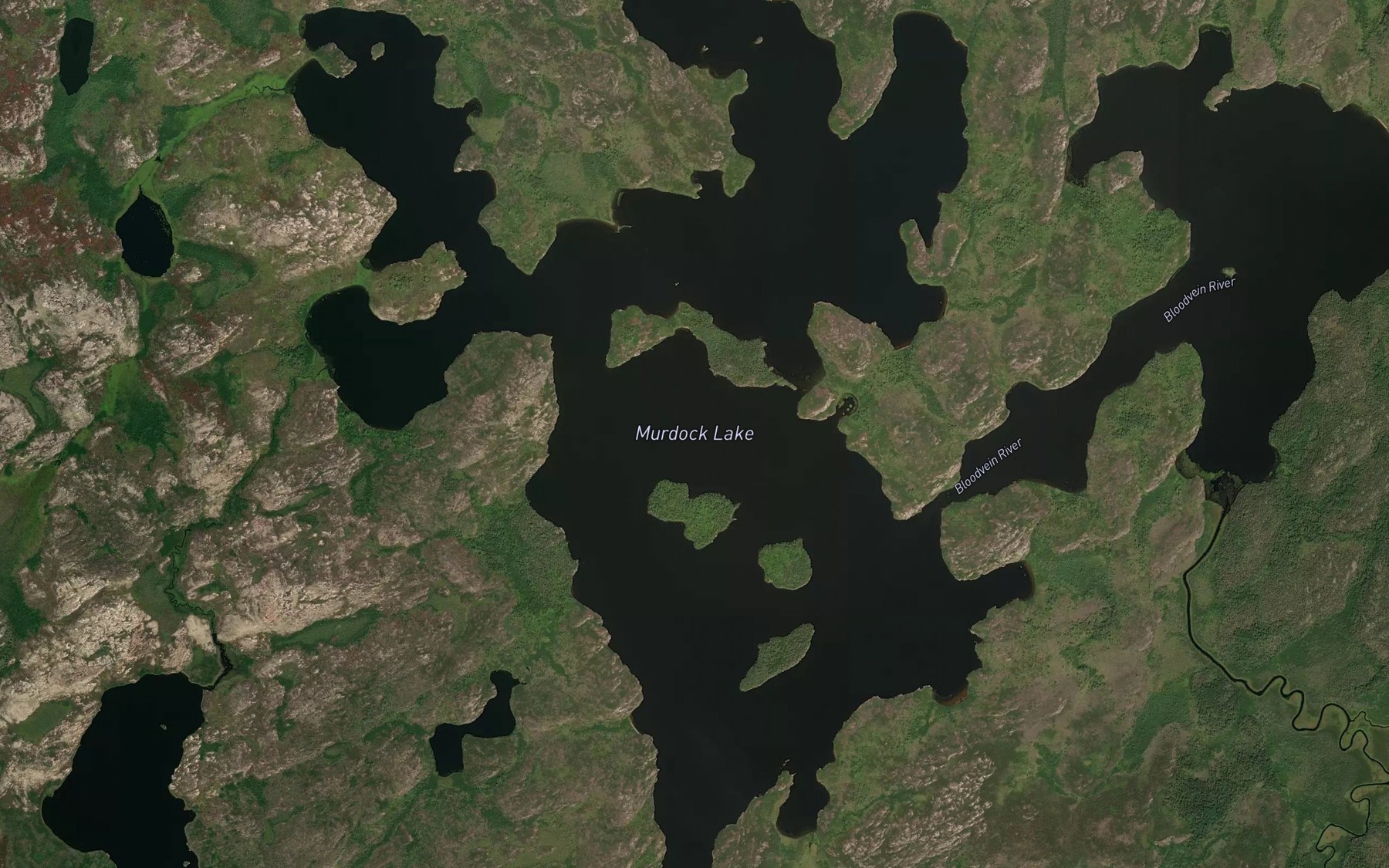 Satellite map of the Murdock Lake