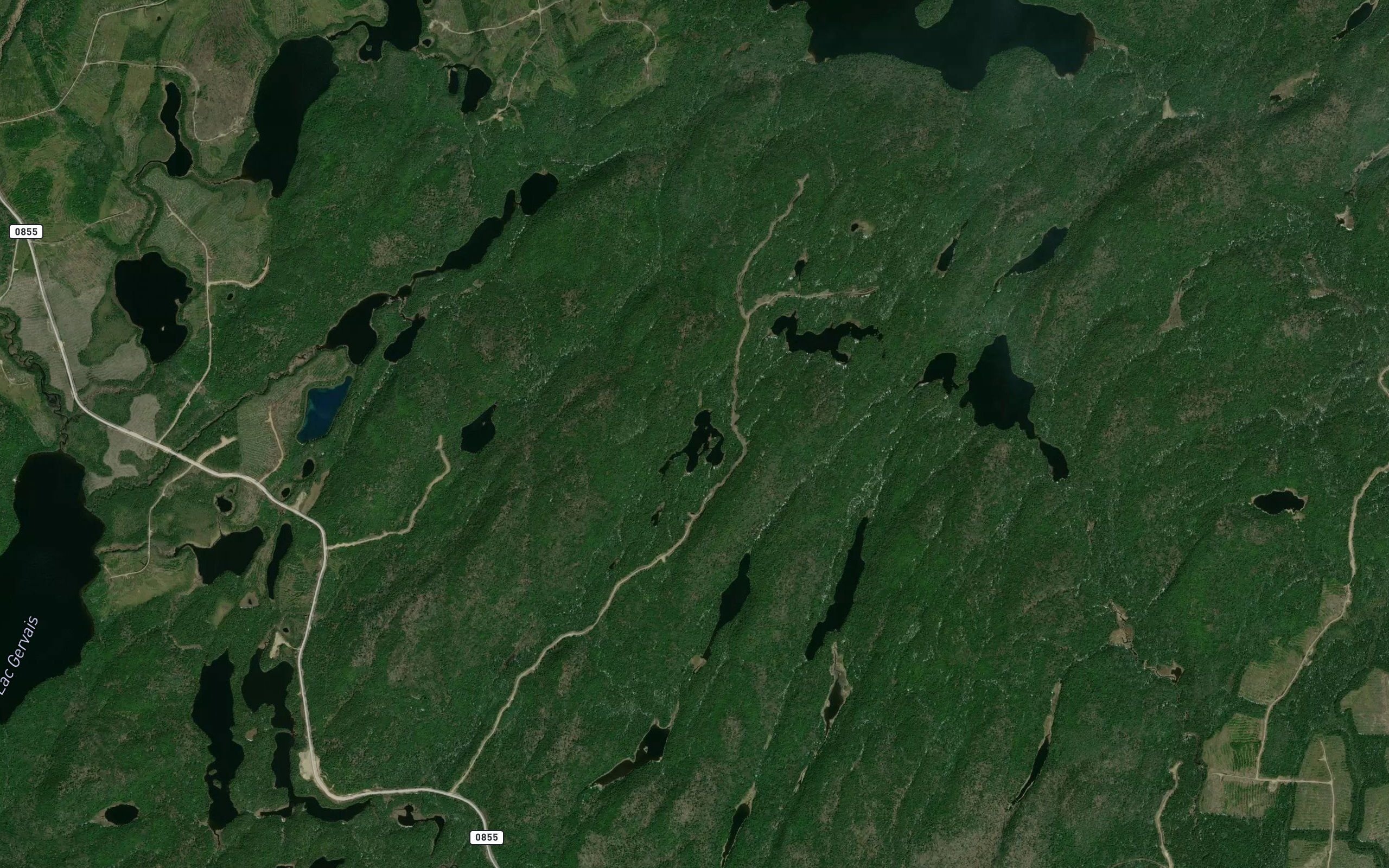 Lac Kaup
