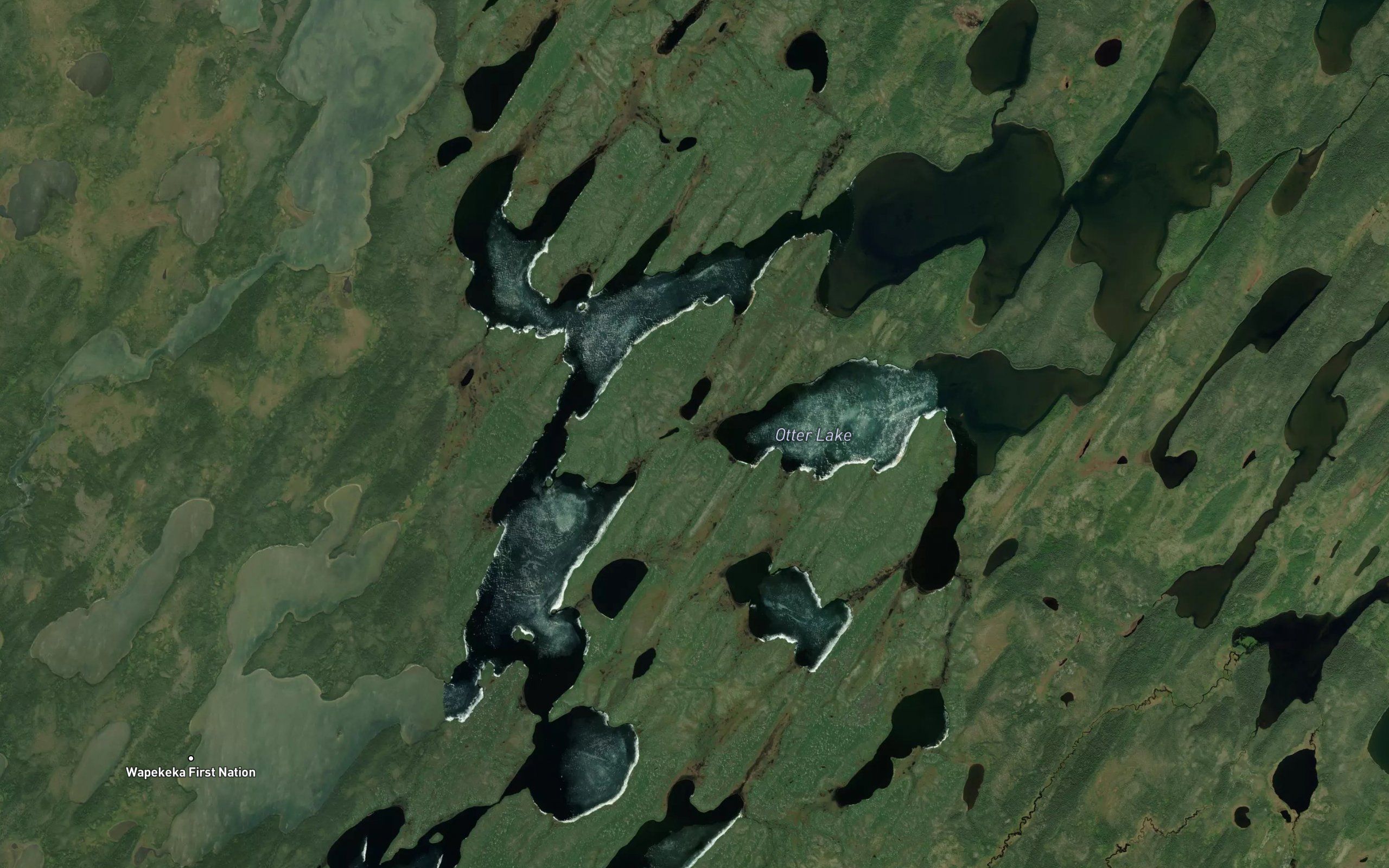Otter Lake