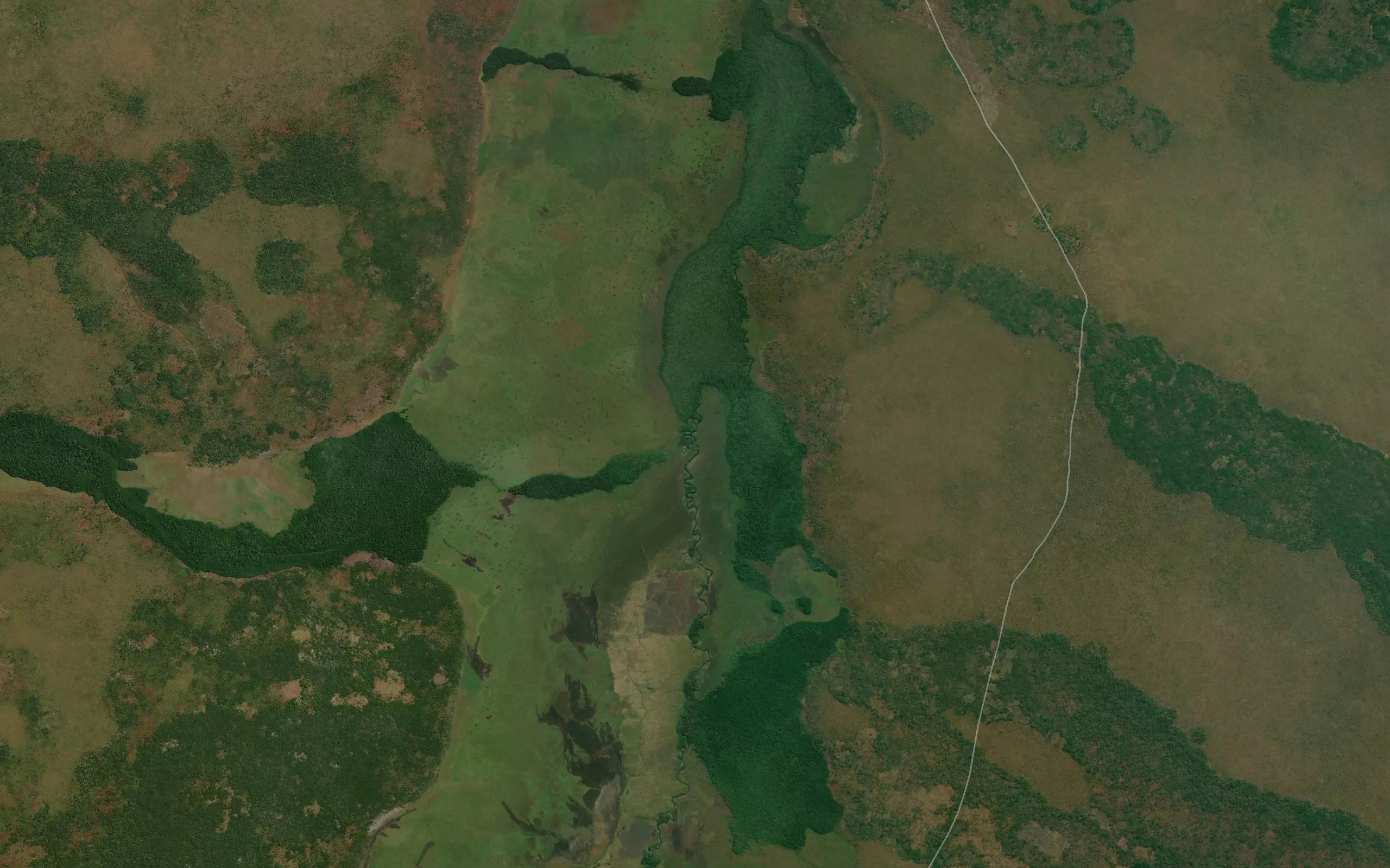 Mussanguigi