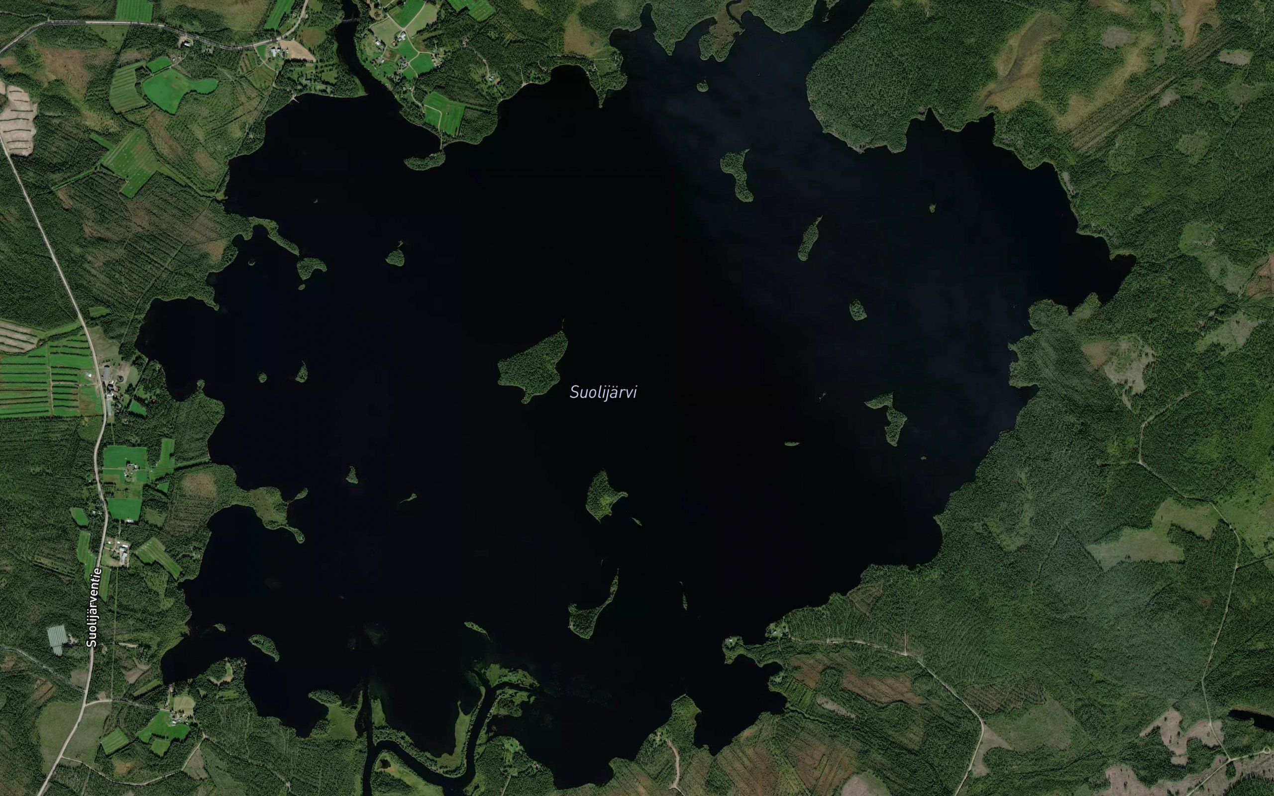 Suolijarvi