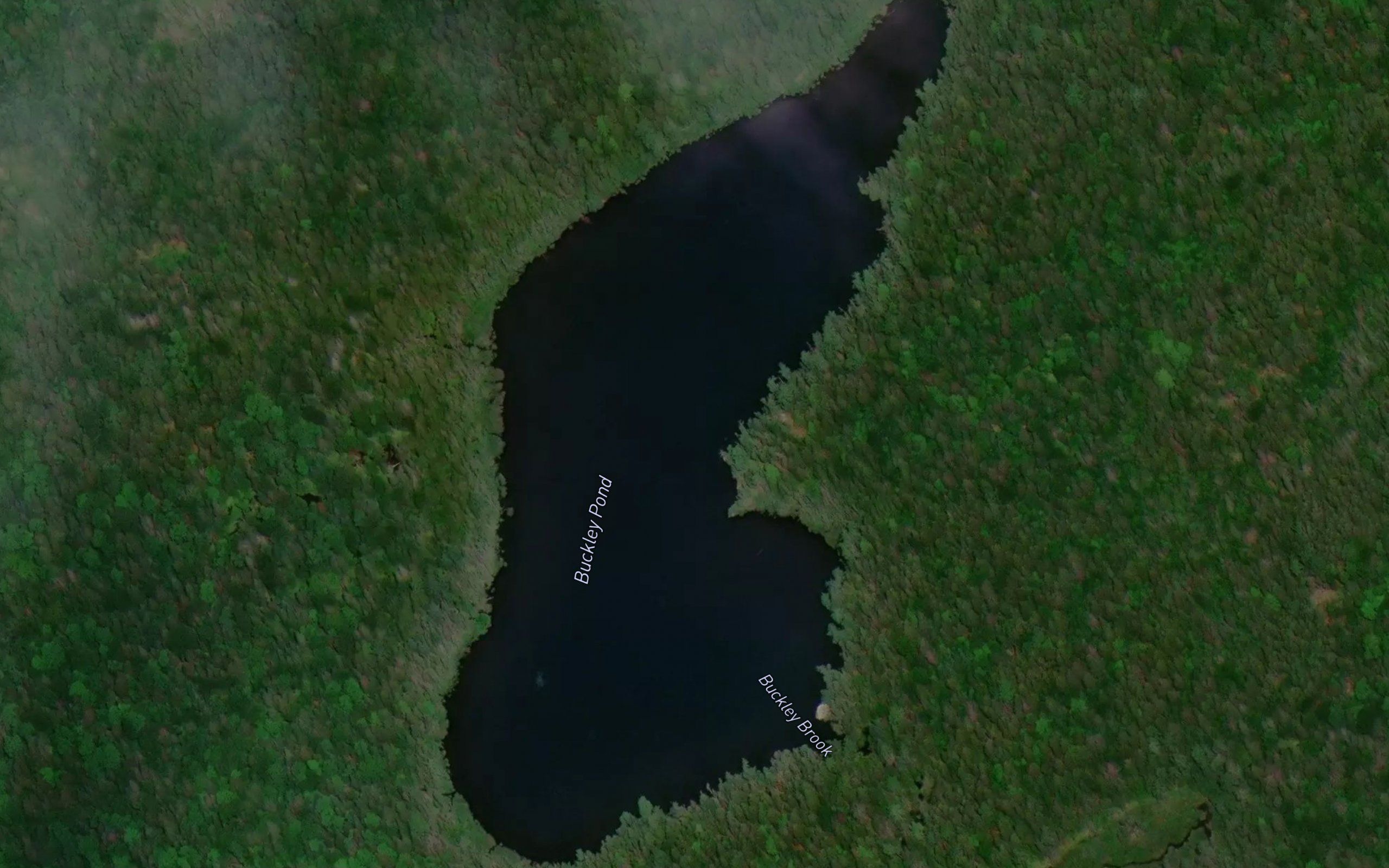 Buckley Pond