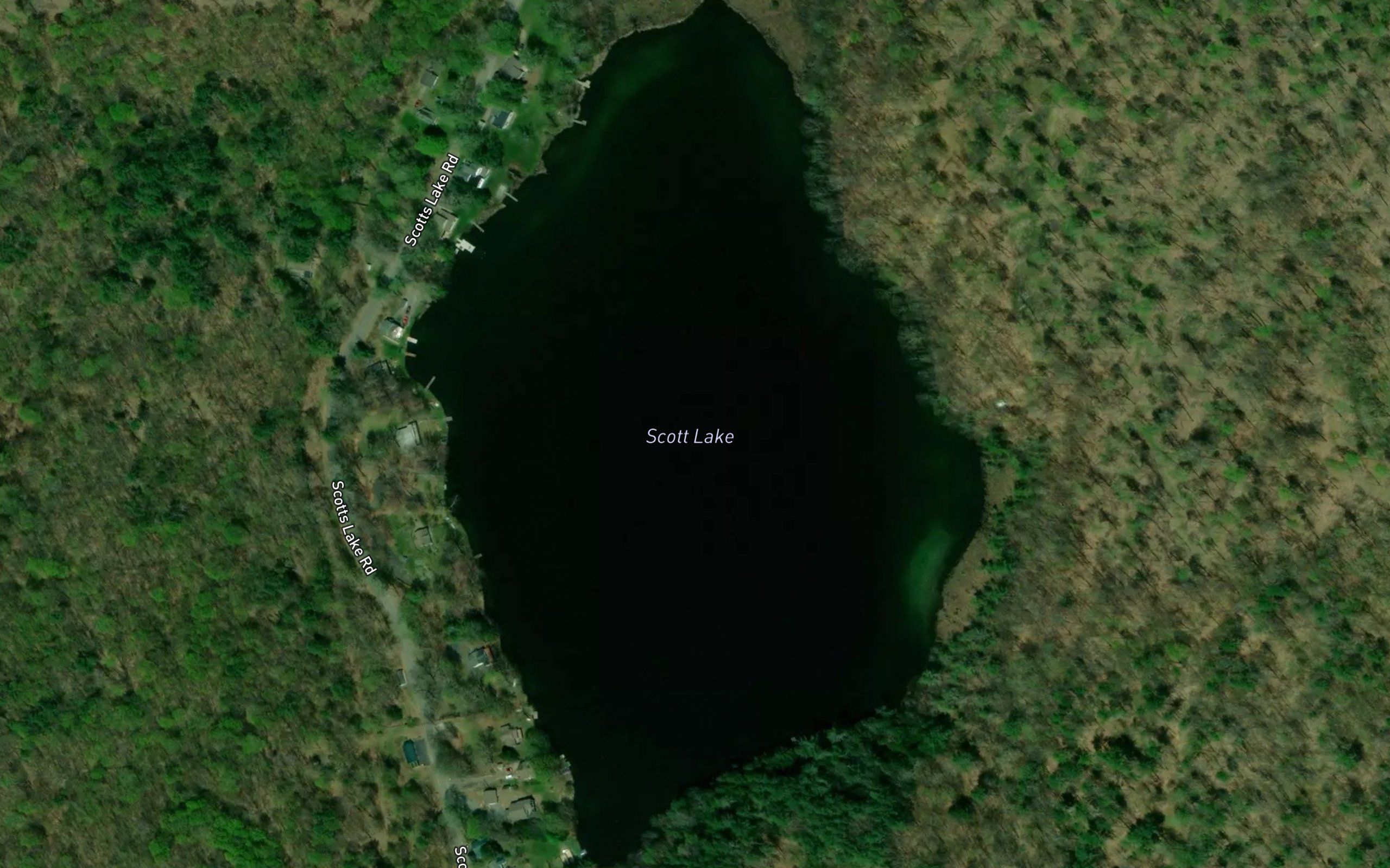 Scott Lake