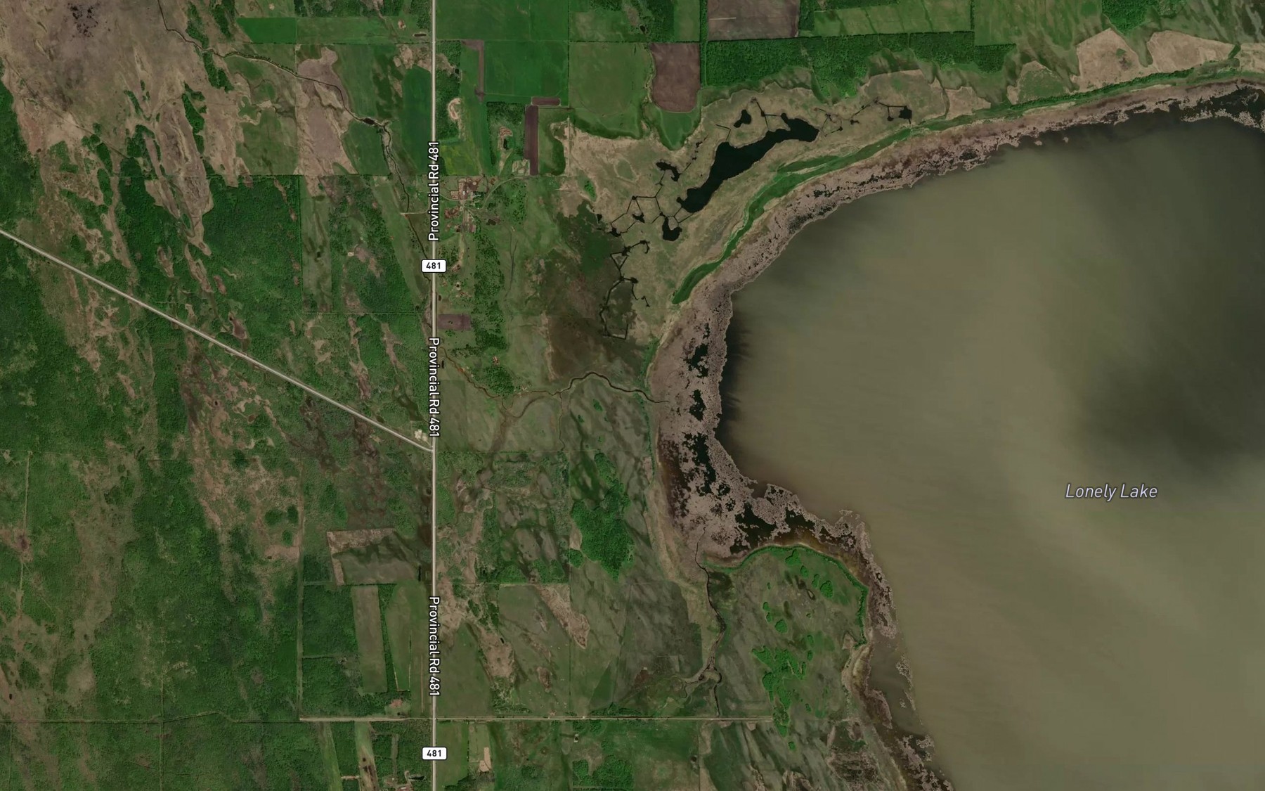 Satellite map of the Lagimodiere Creek