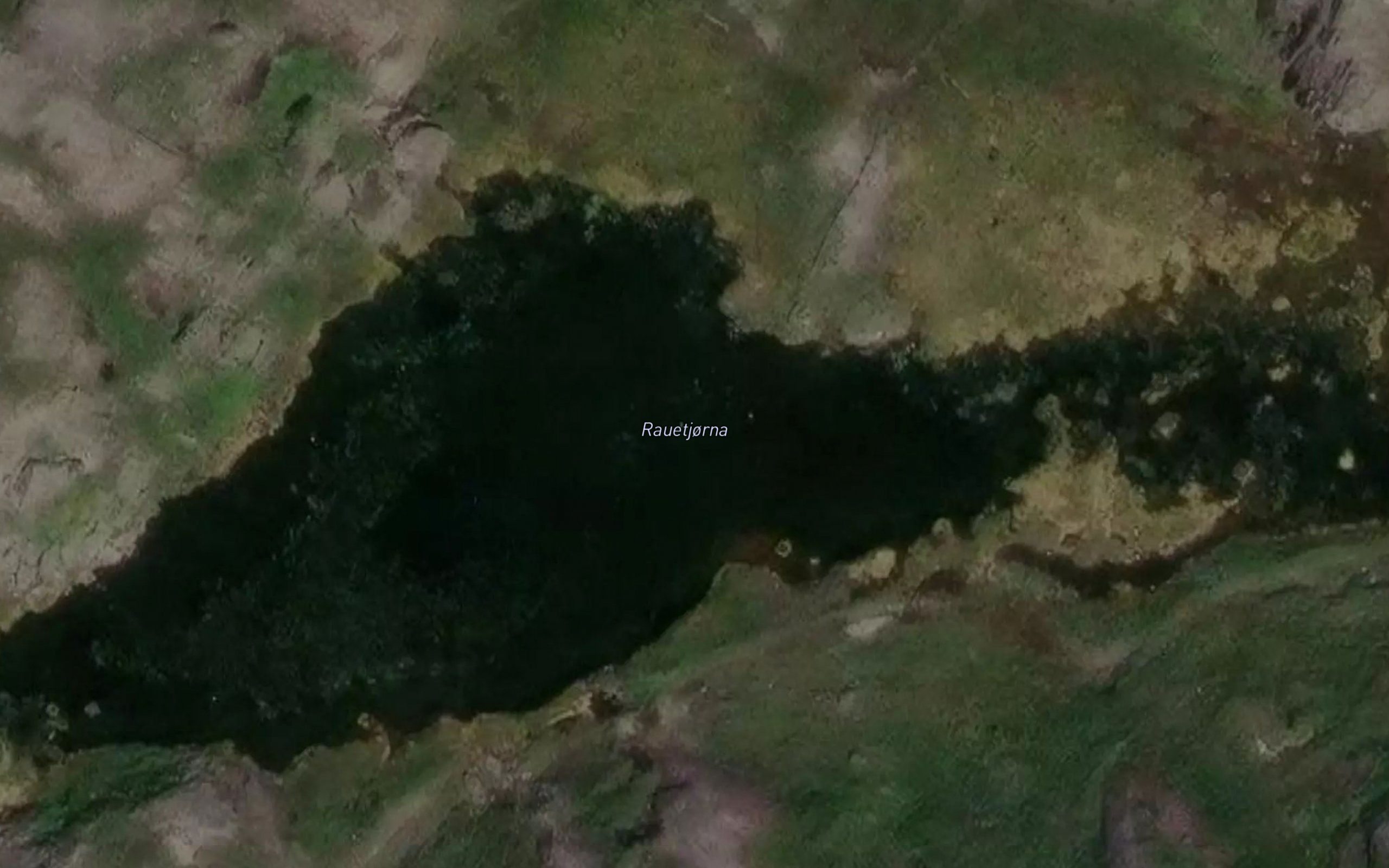 Rauetjorna