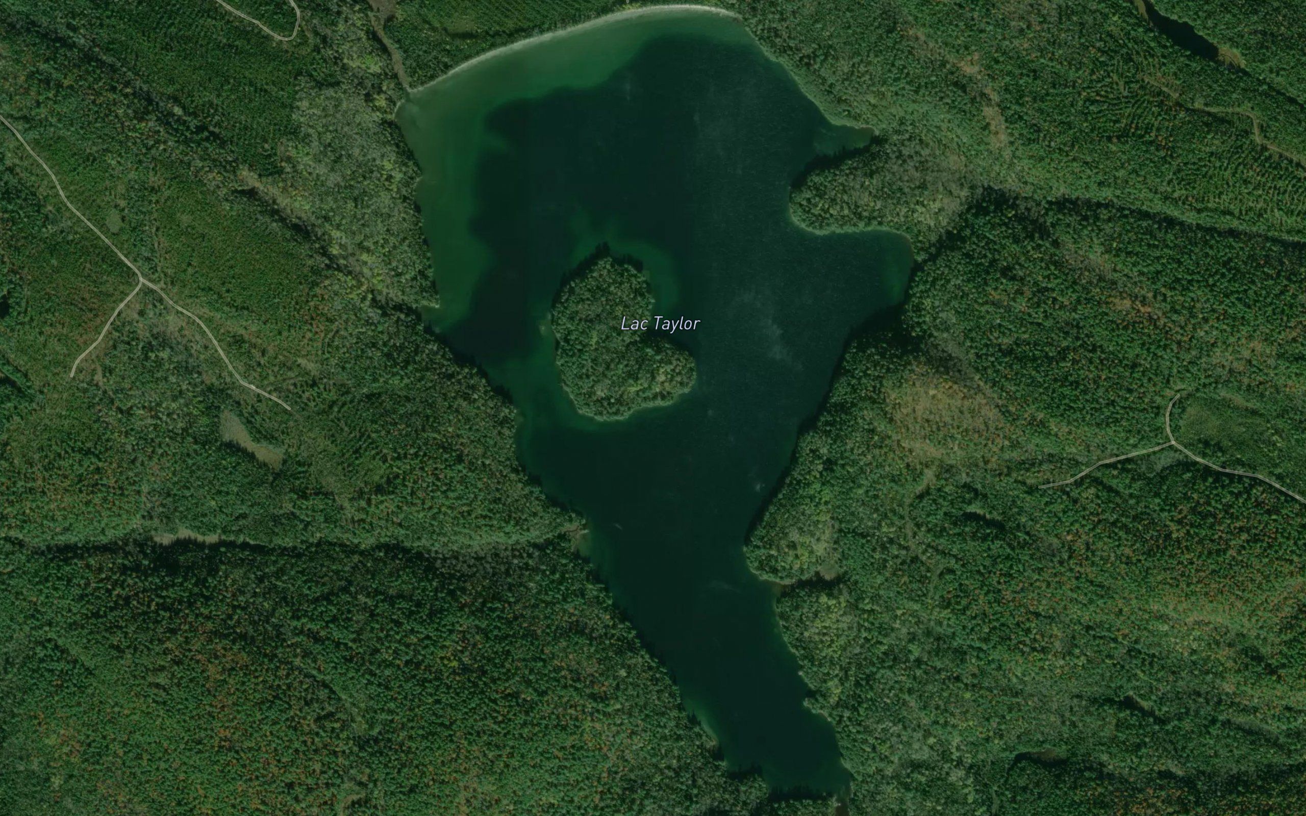 Lac Taylor