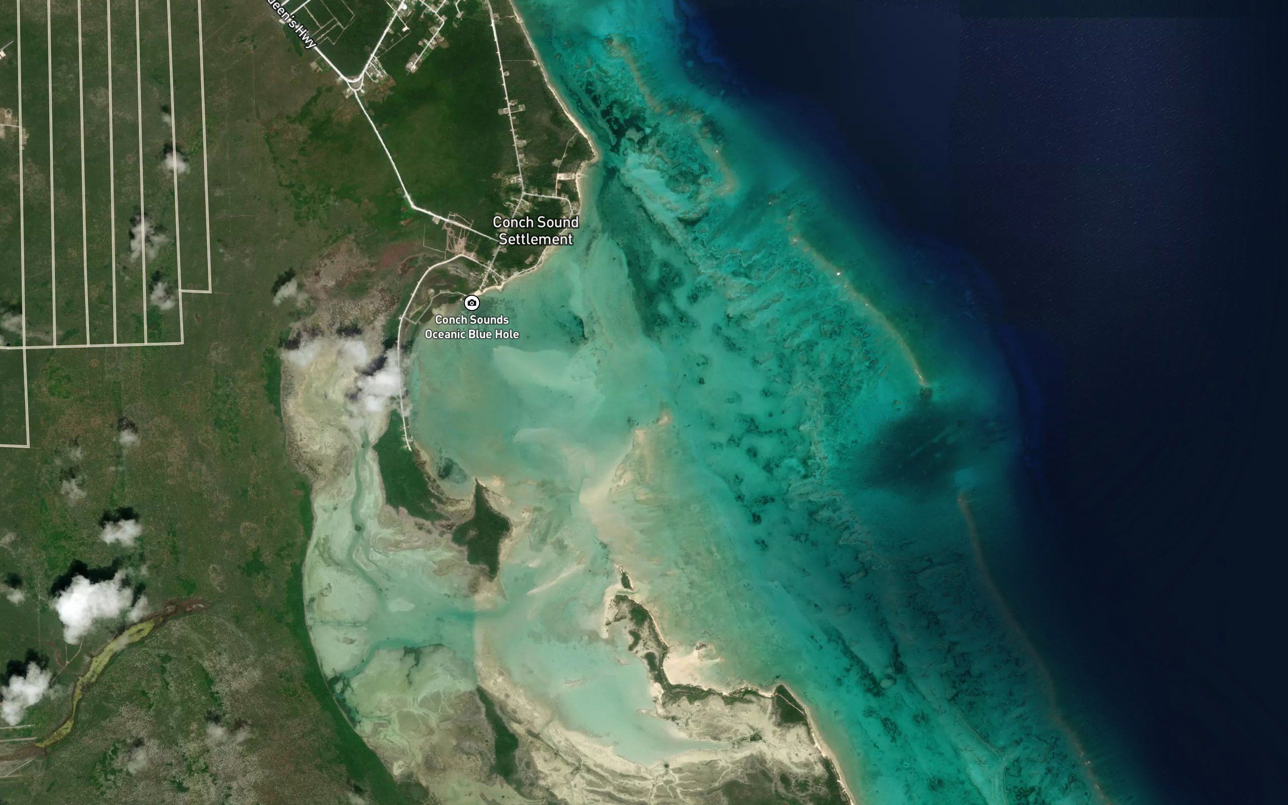 Conch Sound