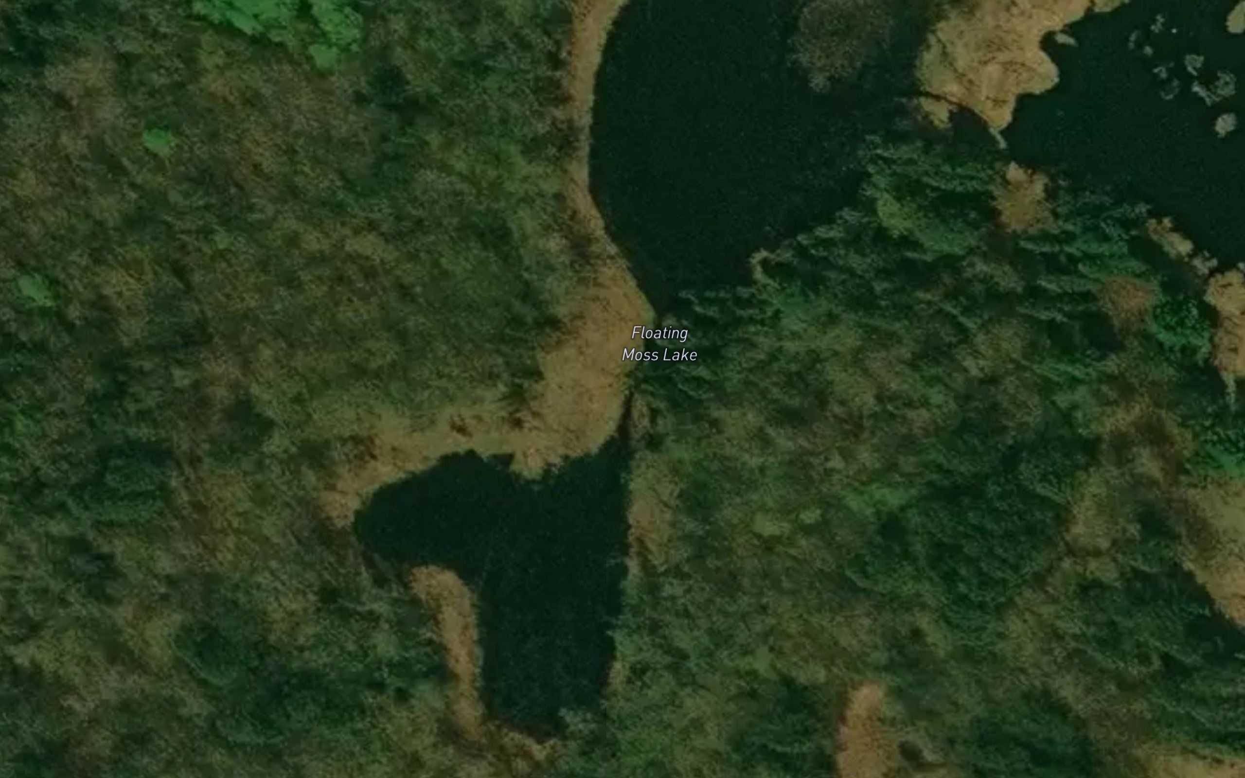 Floating Moss Lake