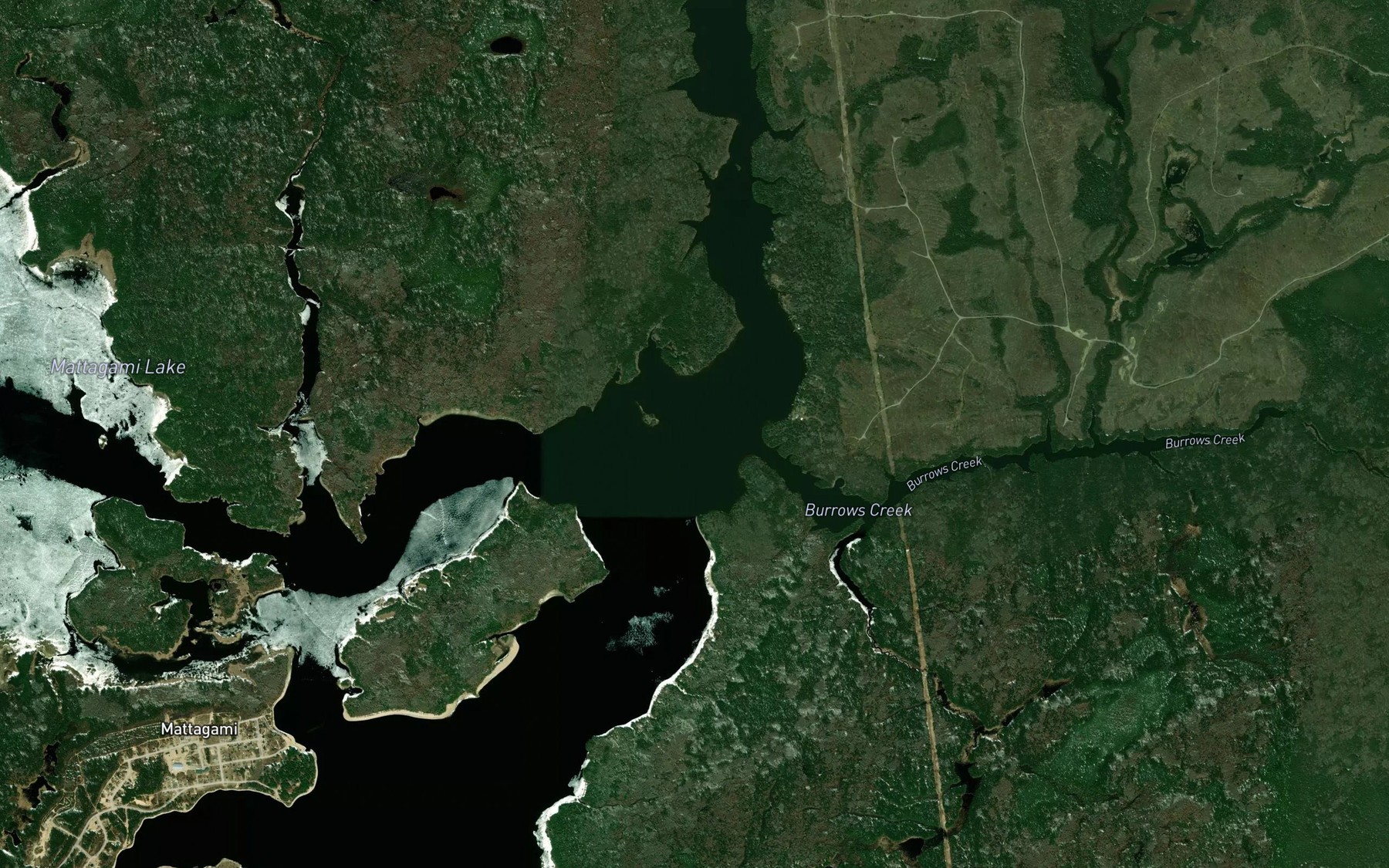 Satellite map of the Northeast Arm