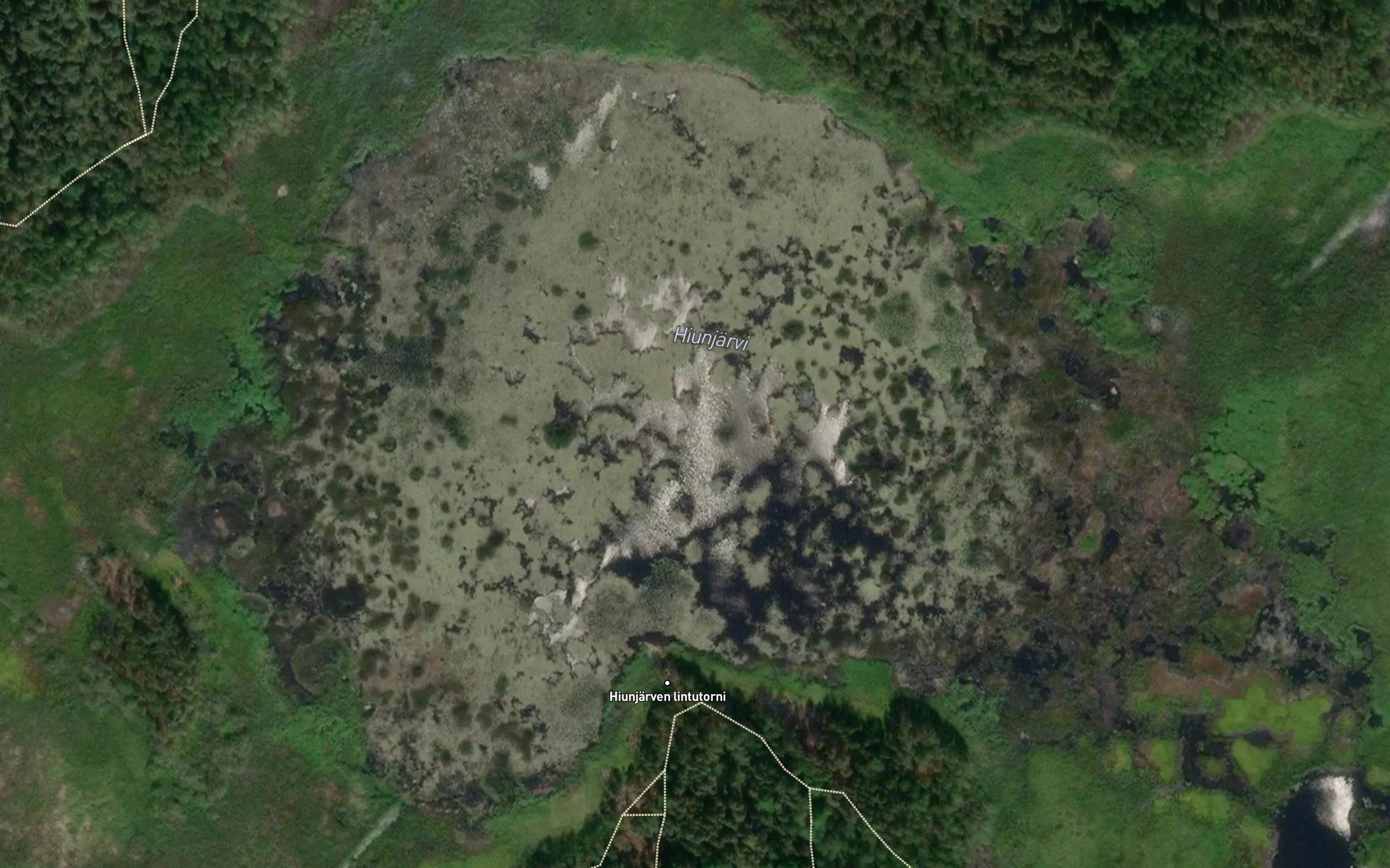 Hiunjarvi