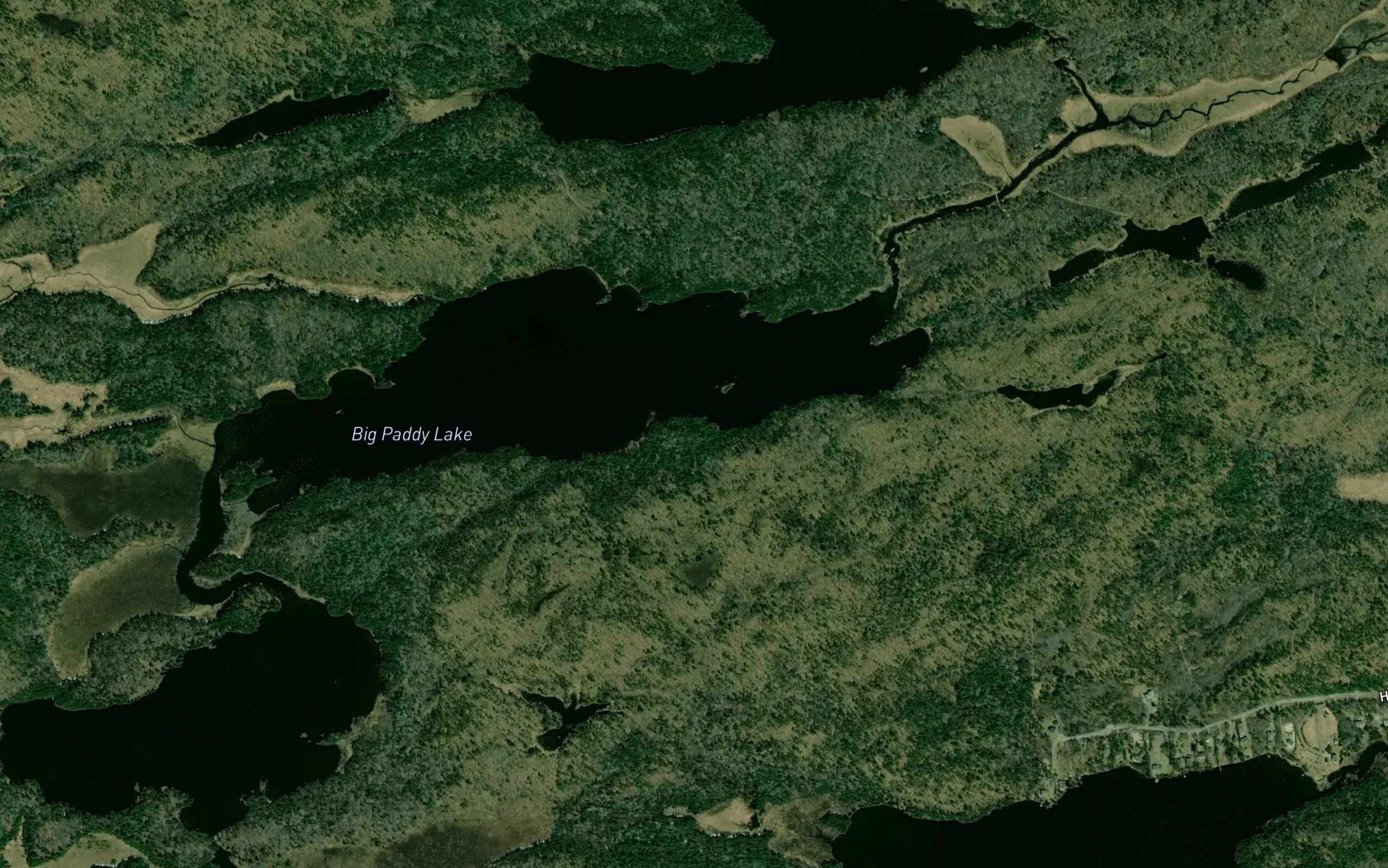 Big Paddy Lake