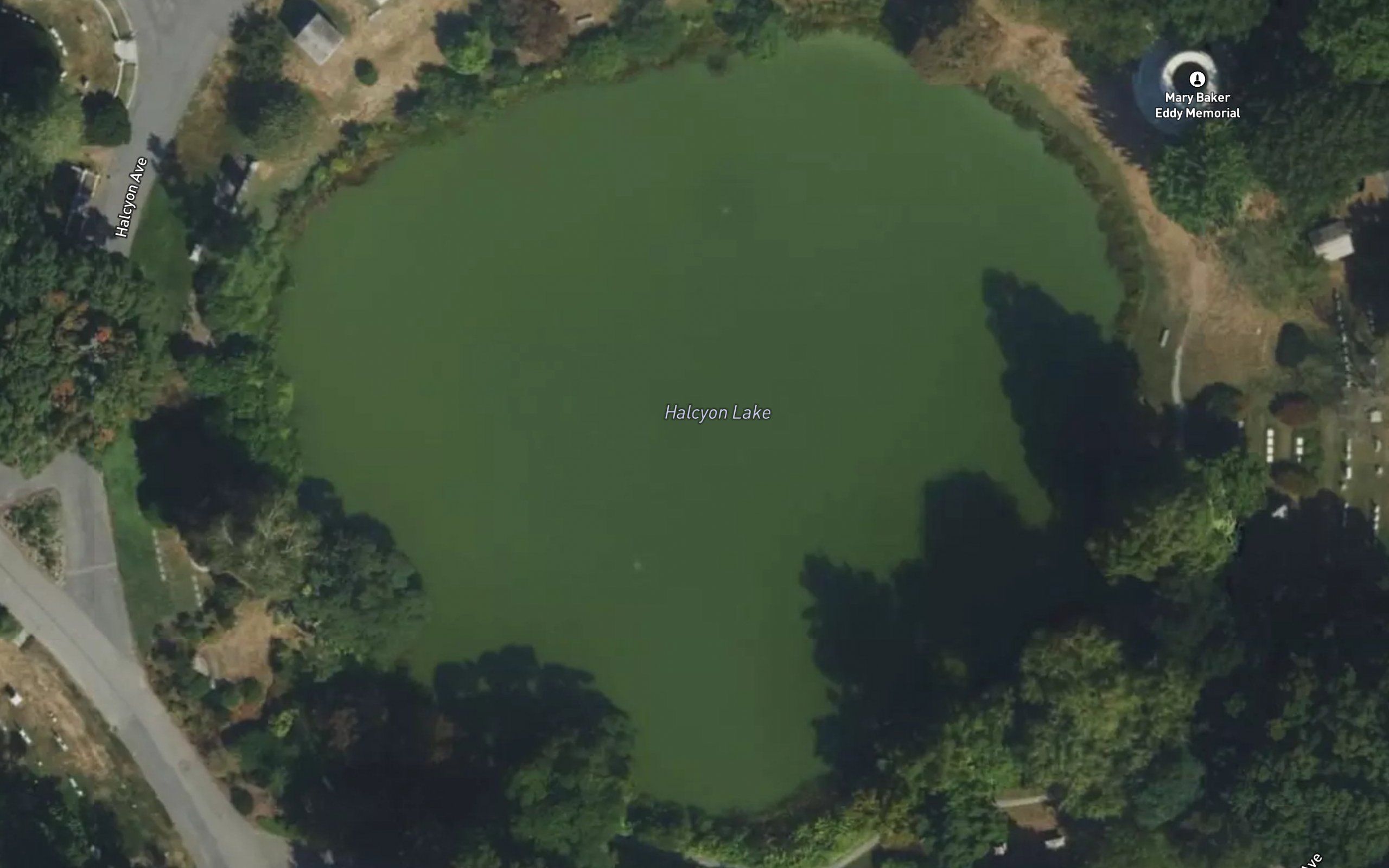 Halecyon Lake