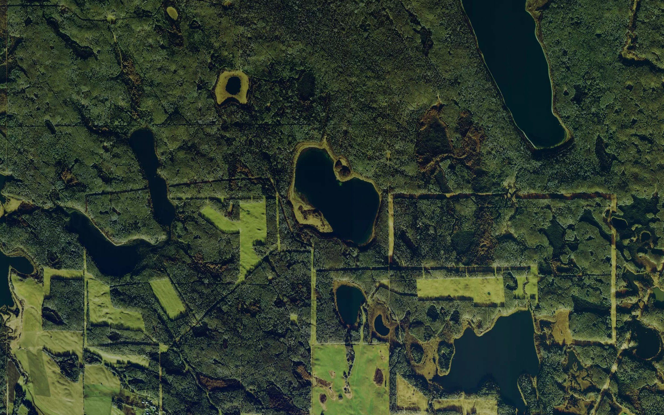Honey Lake