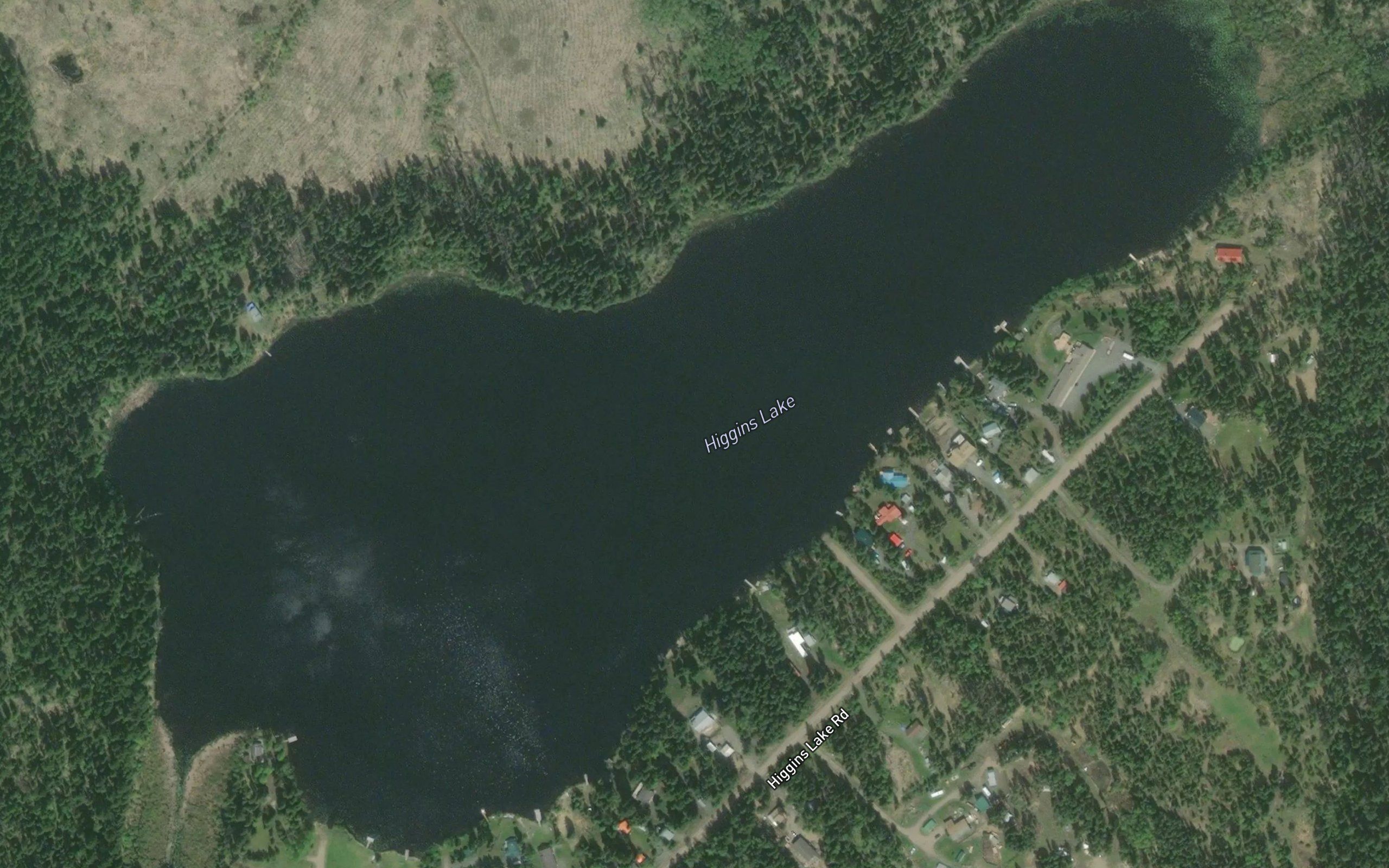 Higgins Lake