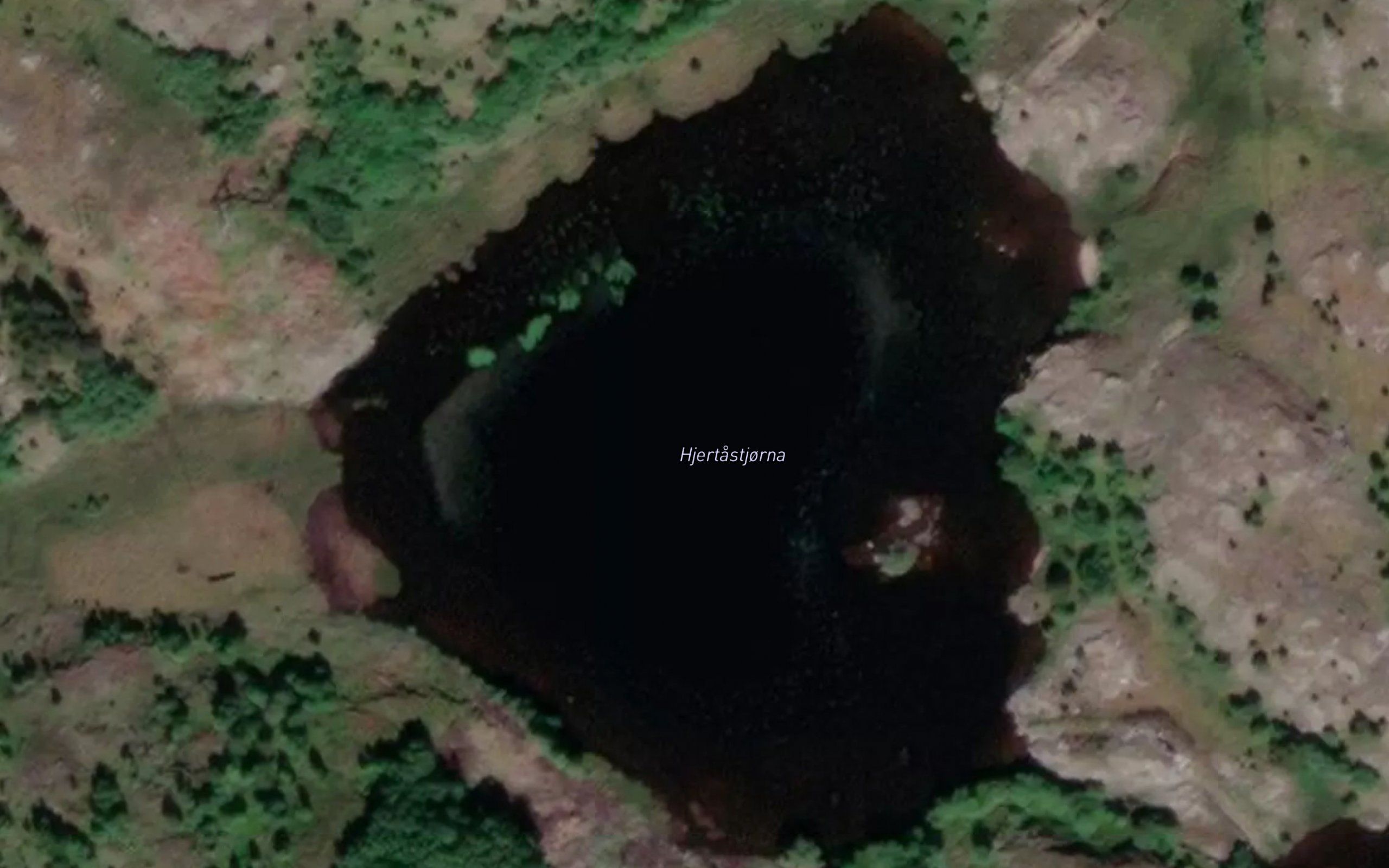 Hjertastjorna