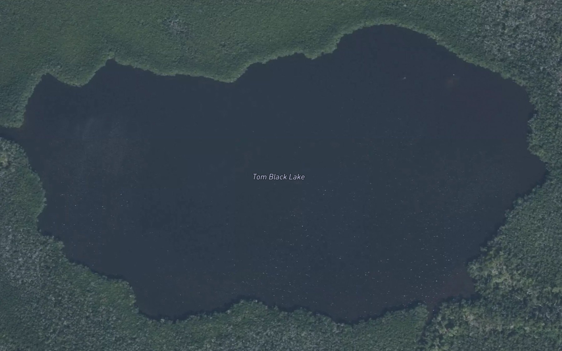 Satellite map of the Tom Black Lake