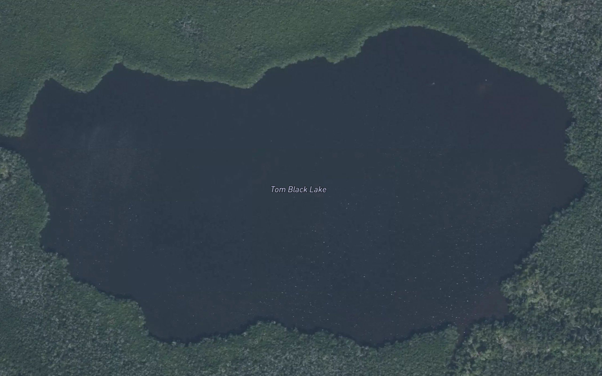 Tom Black Lake