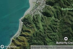 Butterfly Creek