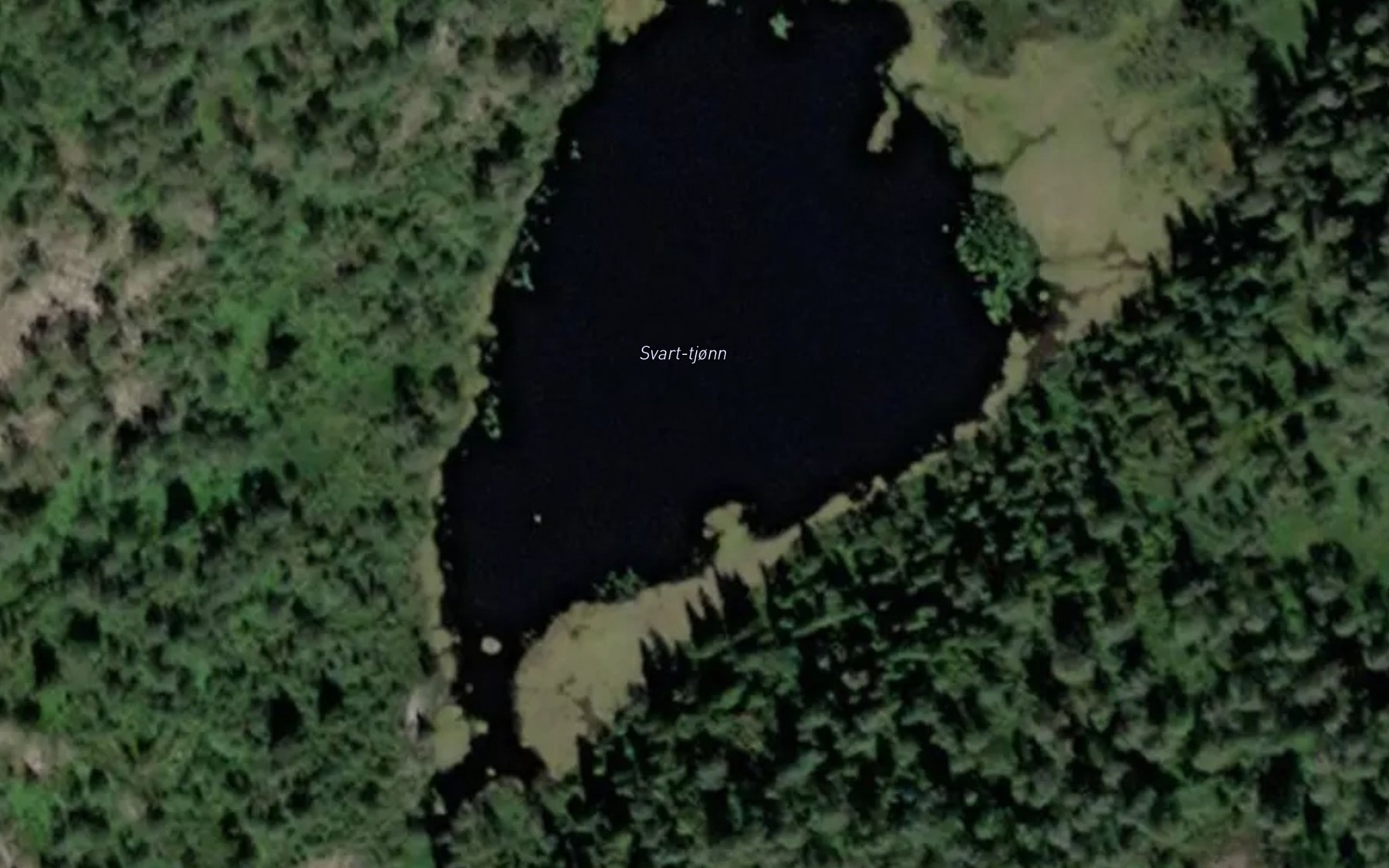 Satellite map of the Svart-tjonn